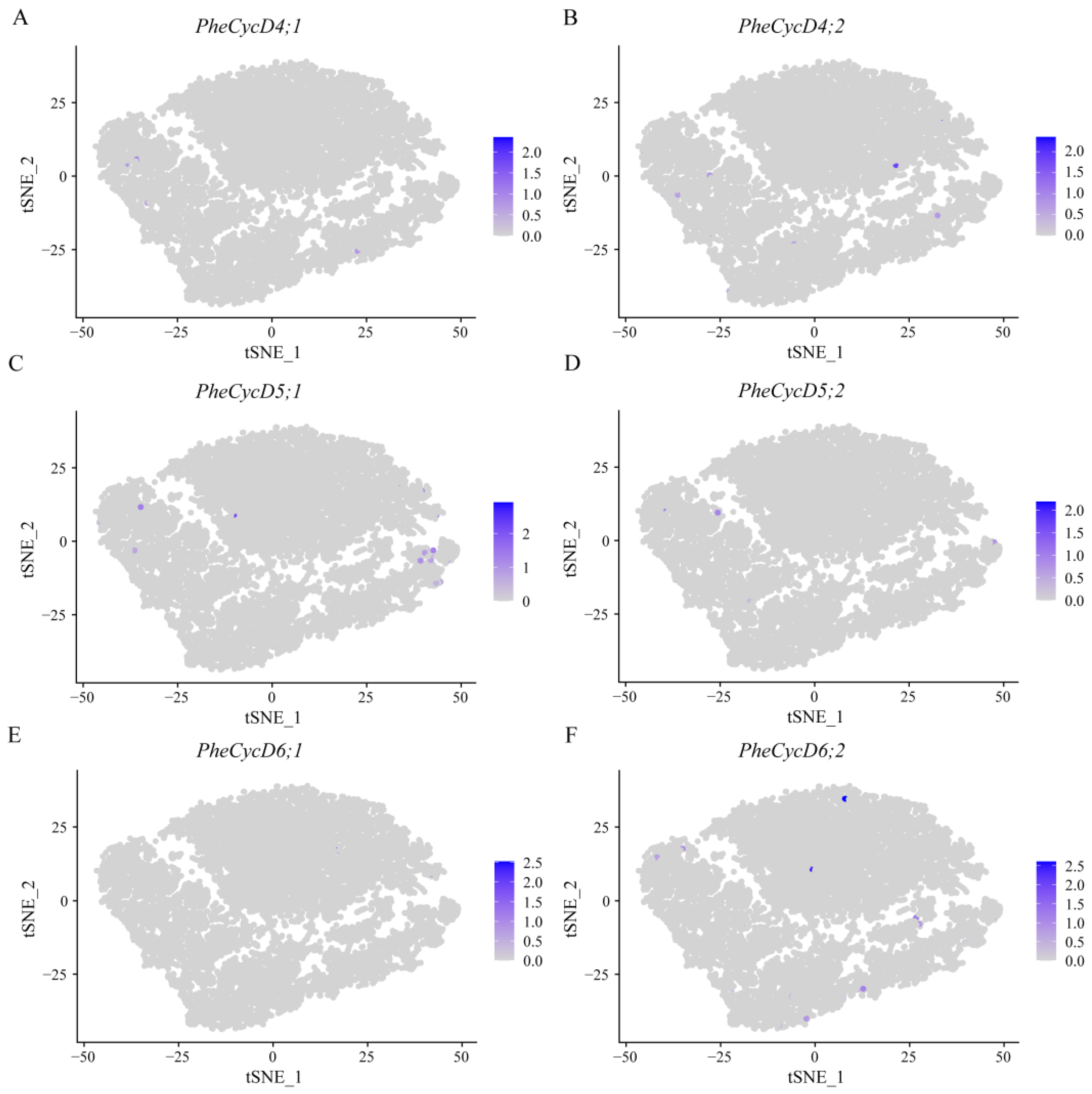 Forests 15 00289 g008