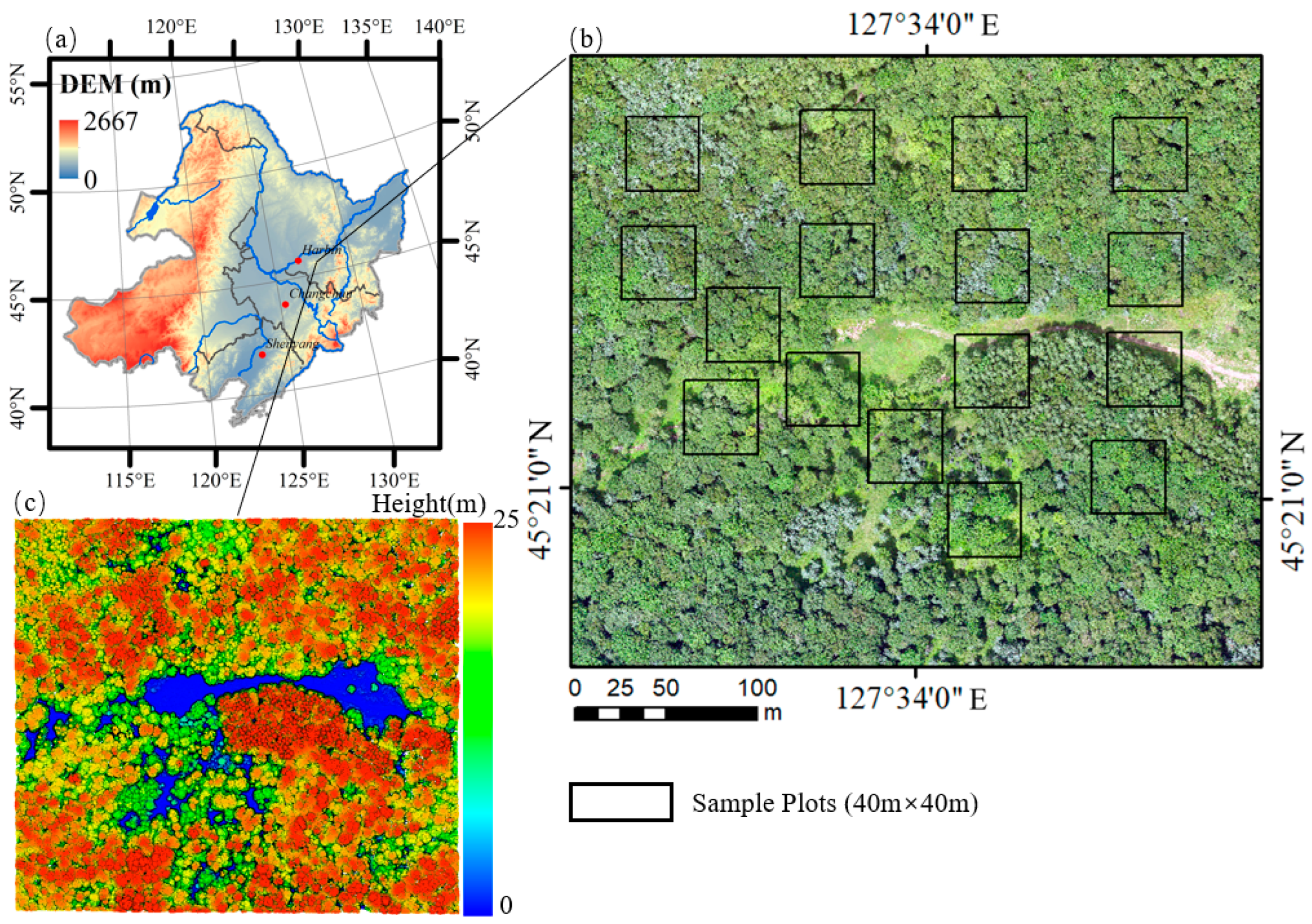 Forests 15 00293 g001