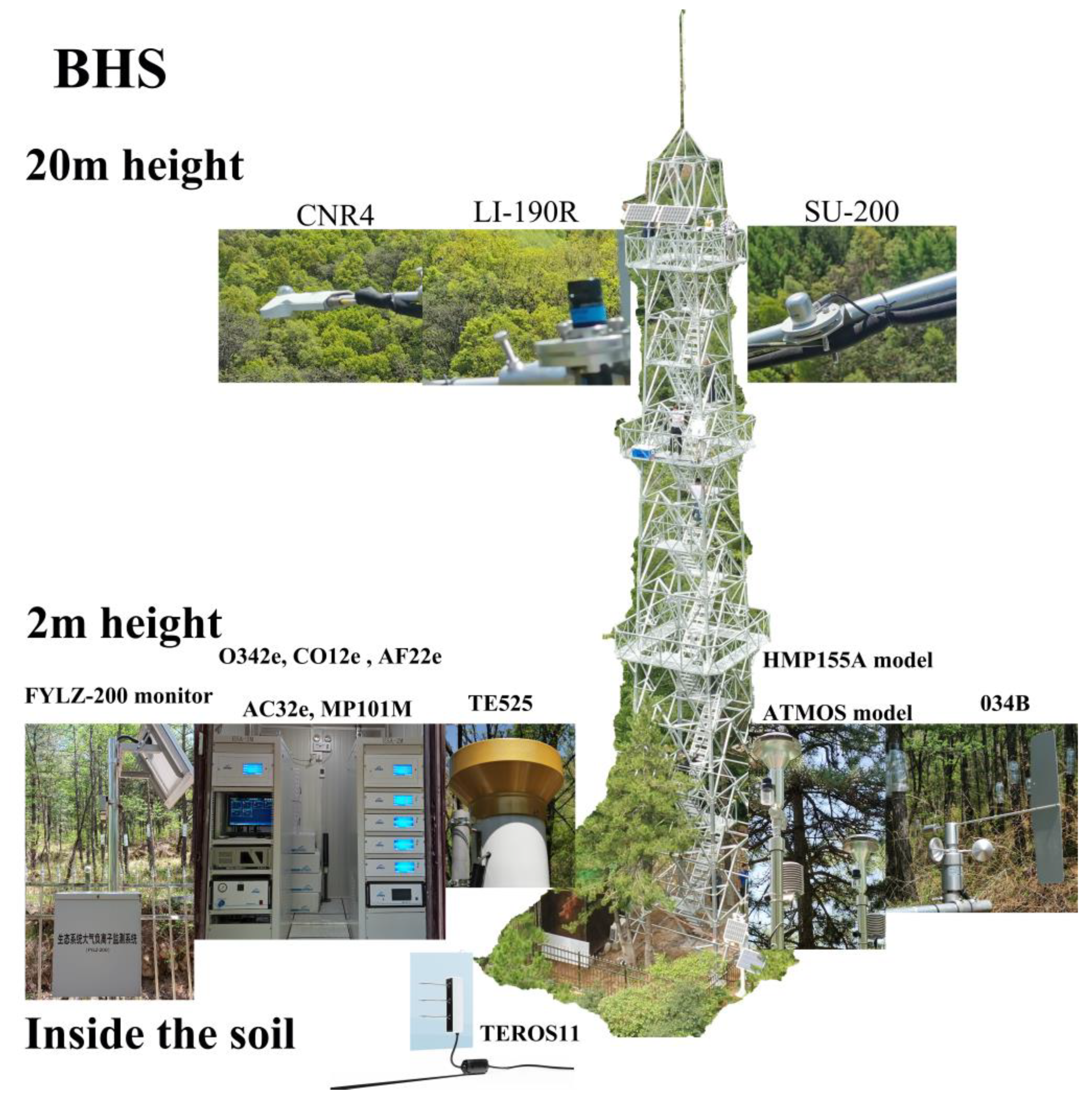 Forests 15 00295 g0a1