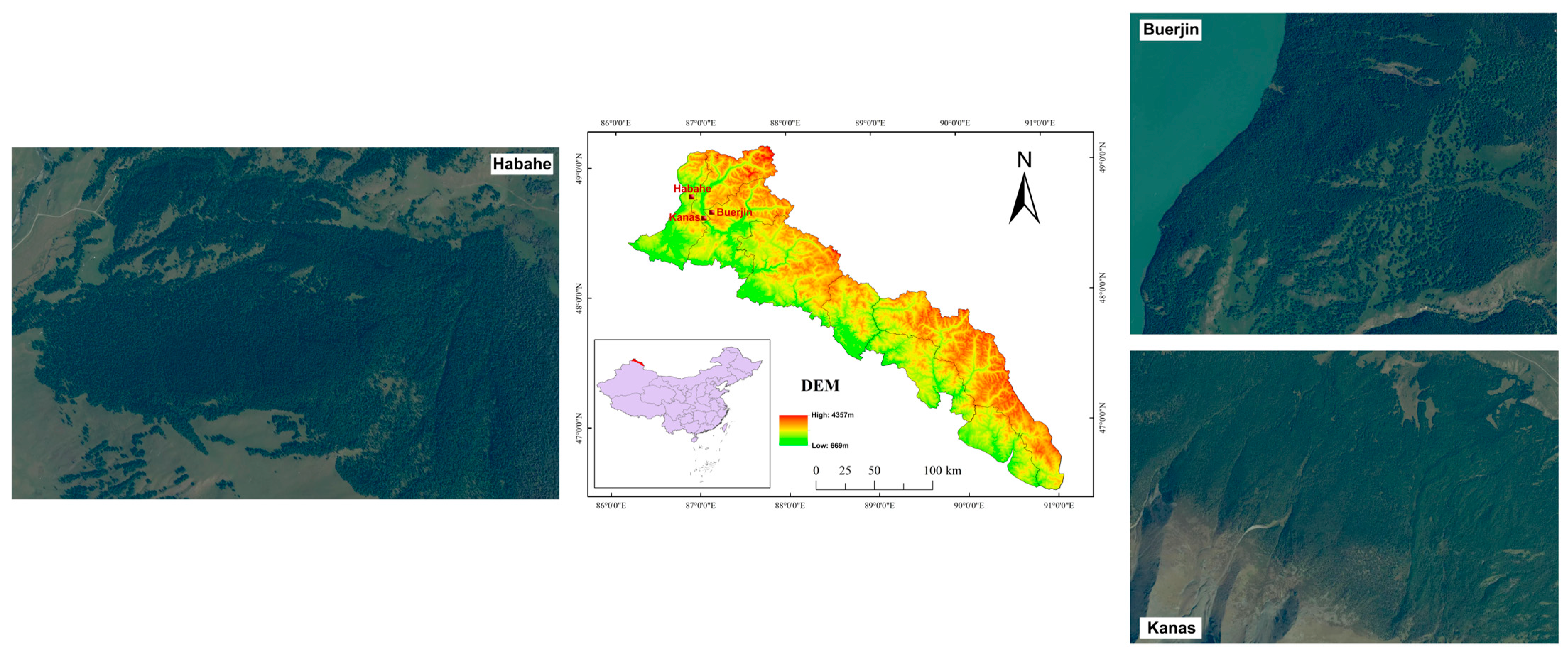 Forests 15 00296 g002