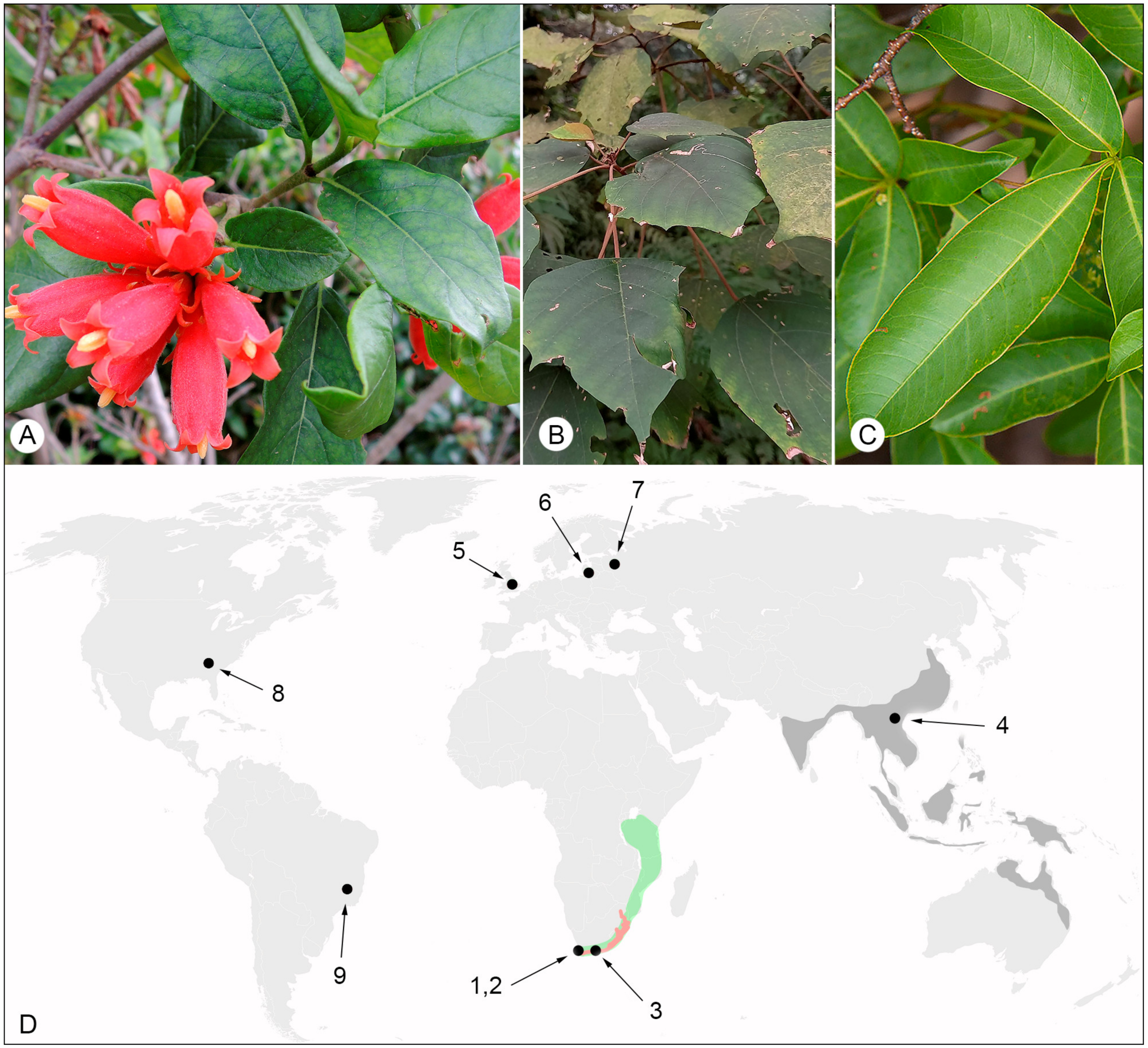 Forests 15 00329 g001