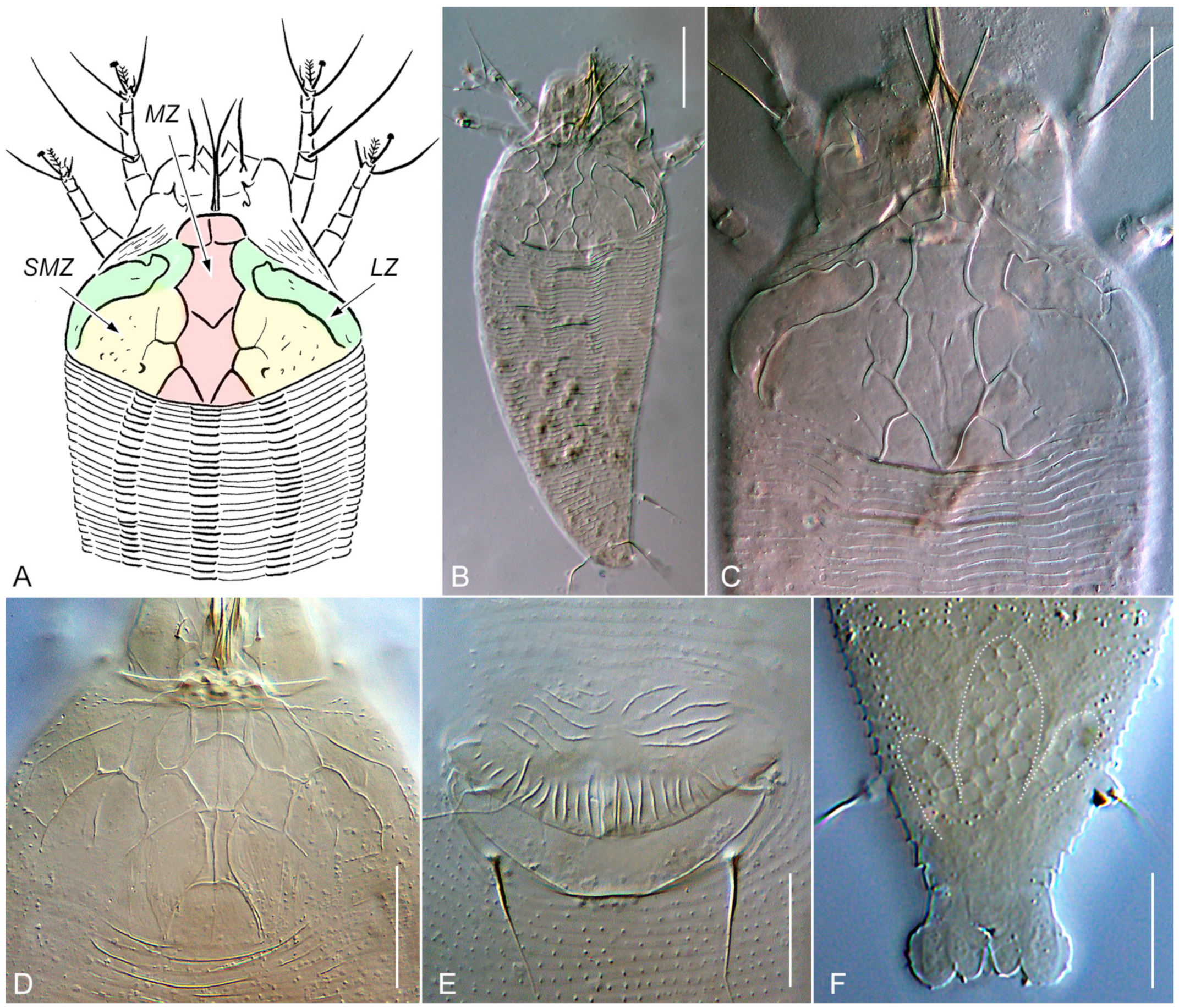 Forests 15 00329 g002