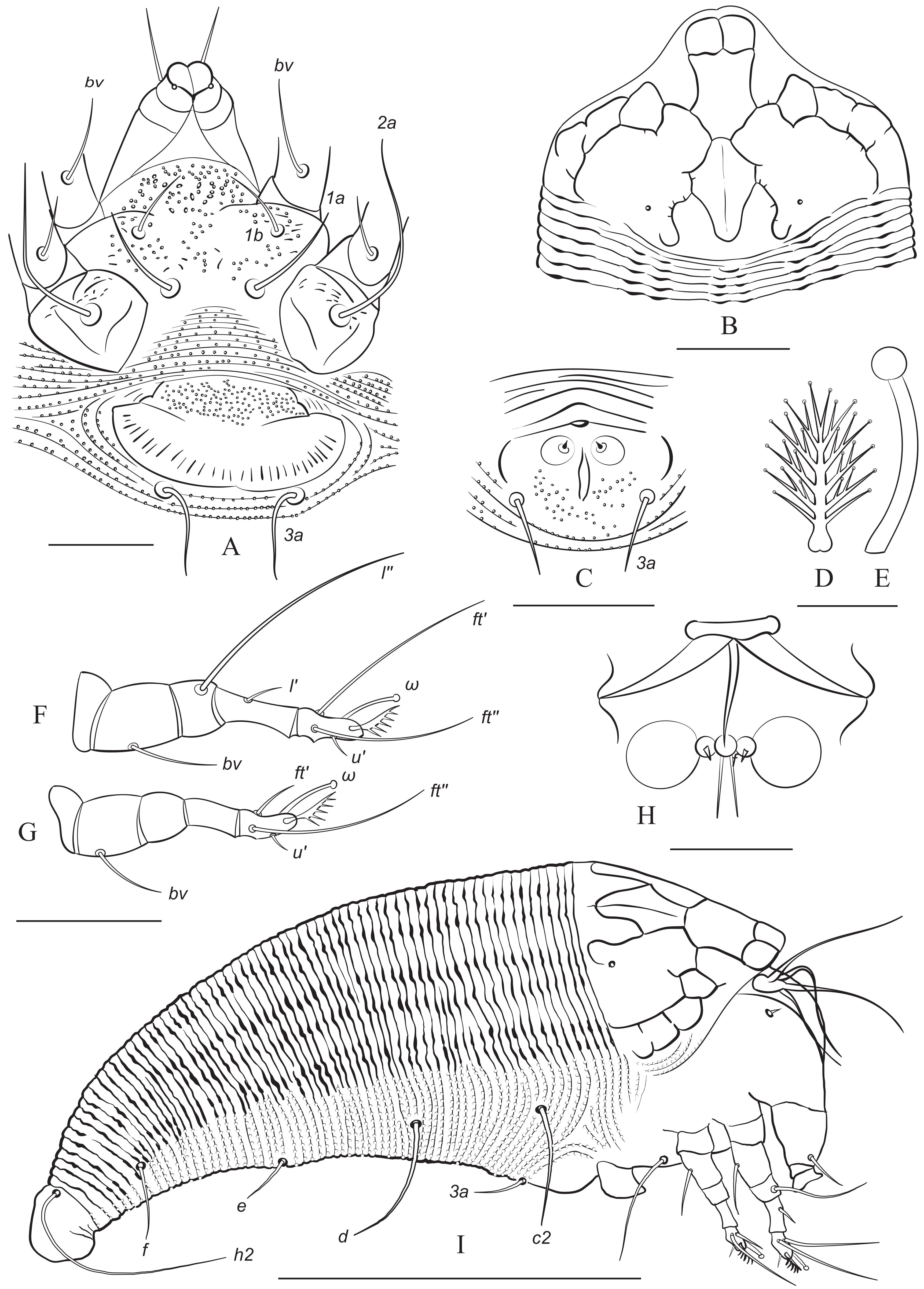 Forests 15 00329 g006