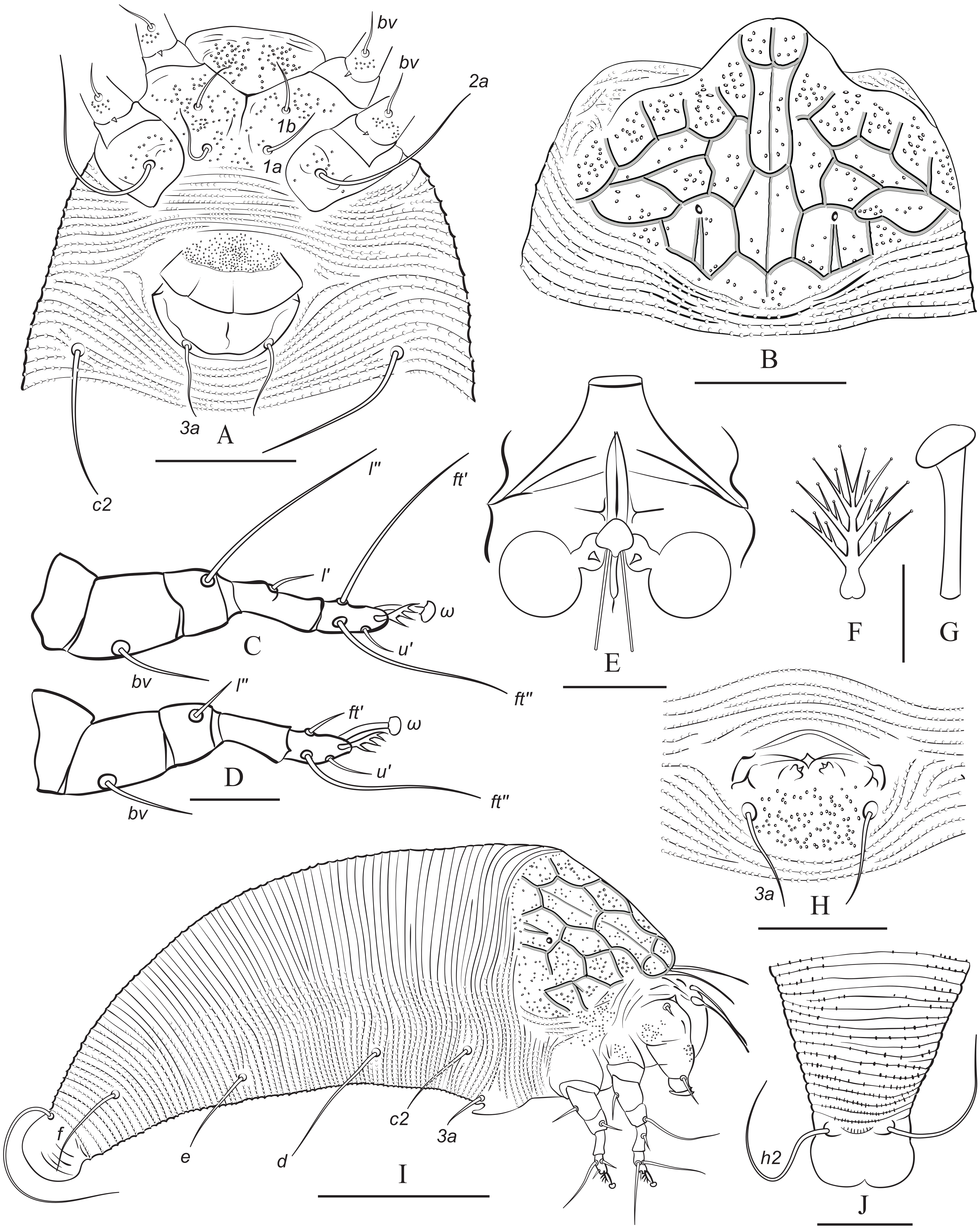 Forests 15 00329 g009
