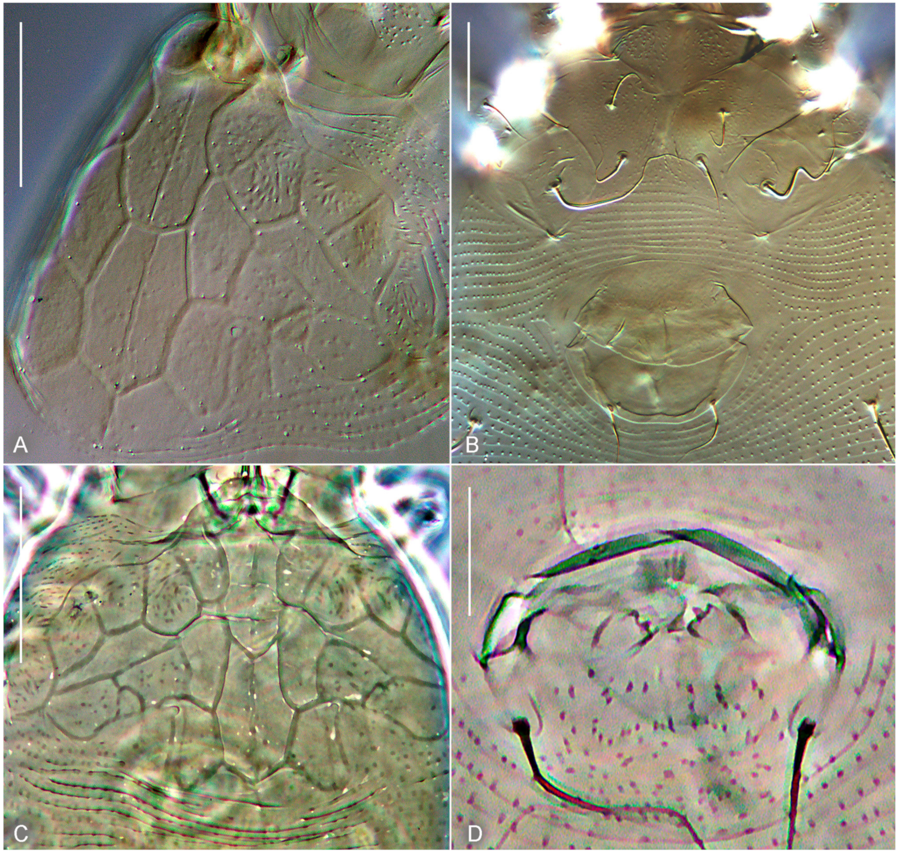 Forests 15 00329 g010