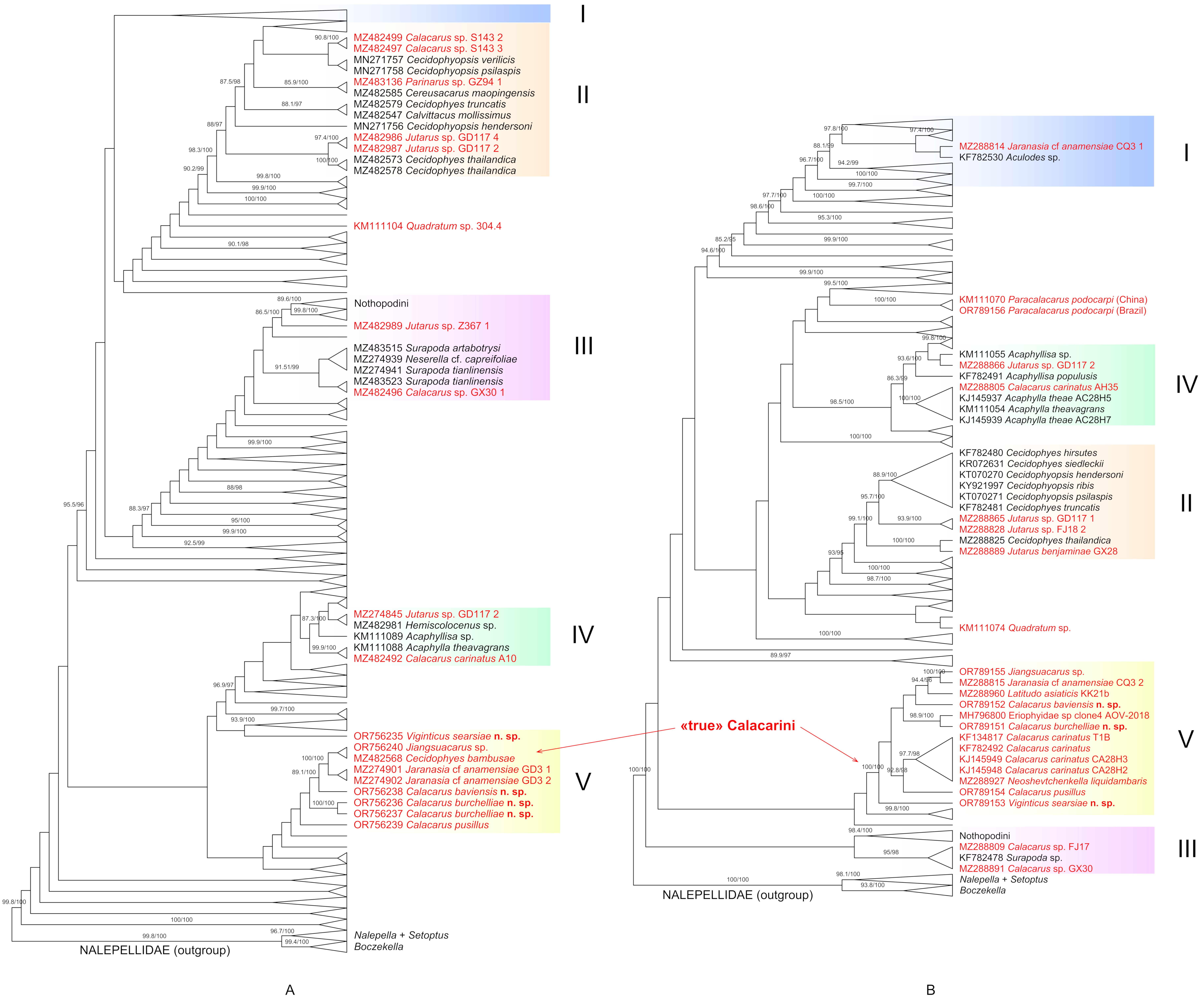 Forests 15 00329 g011
