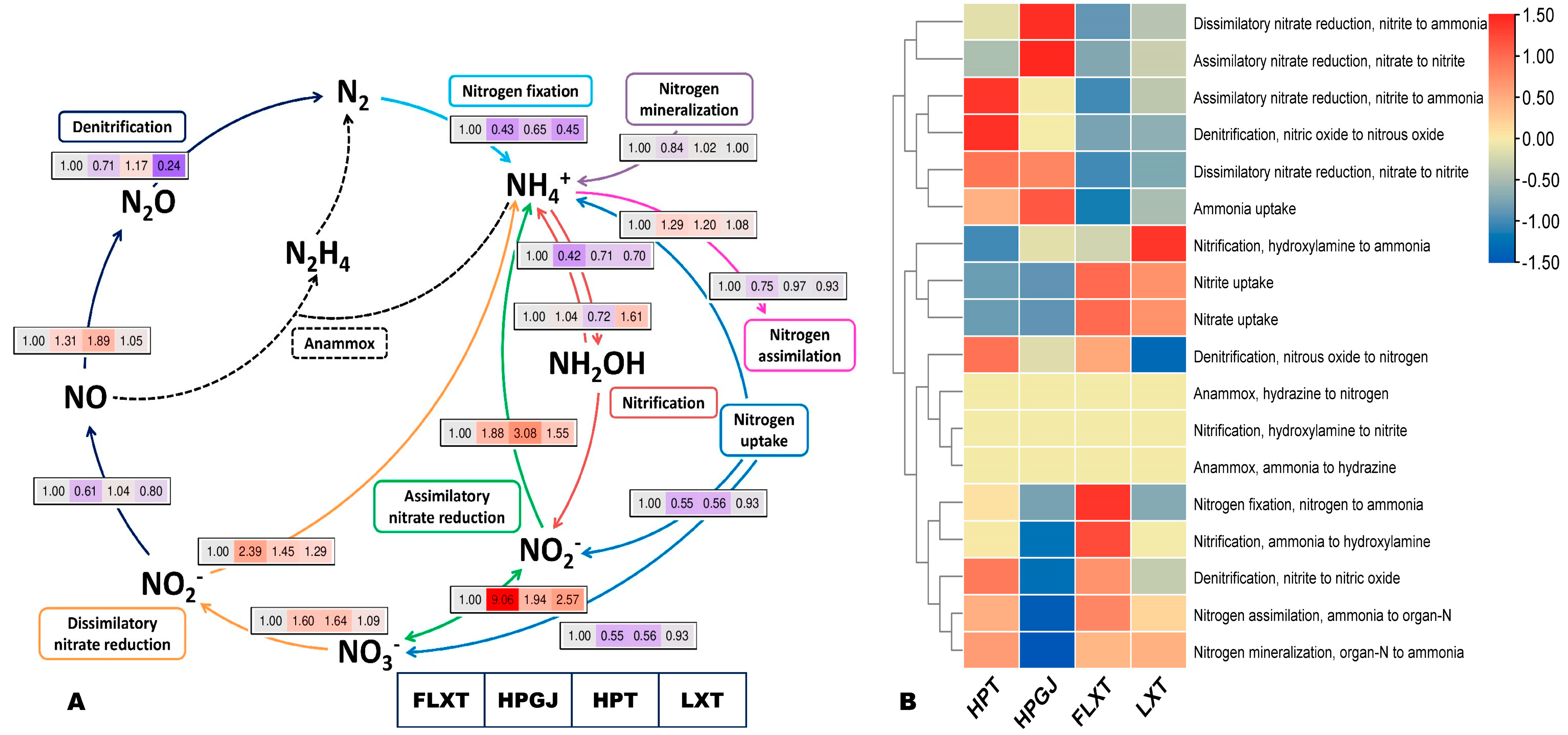 Forests 15 00331 g006