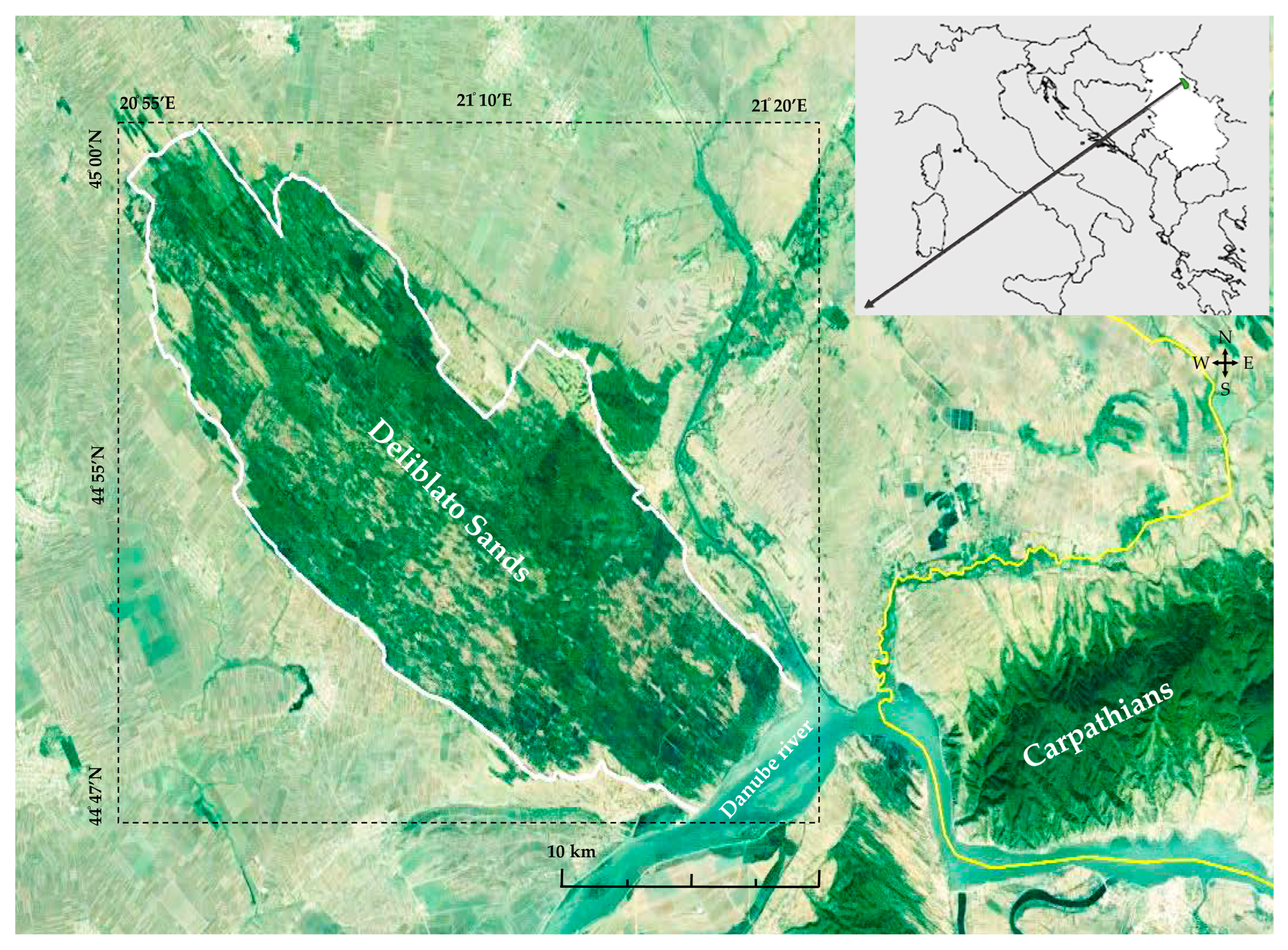 Forests 15 00347 g001