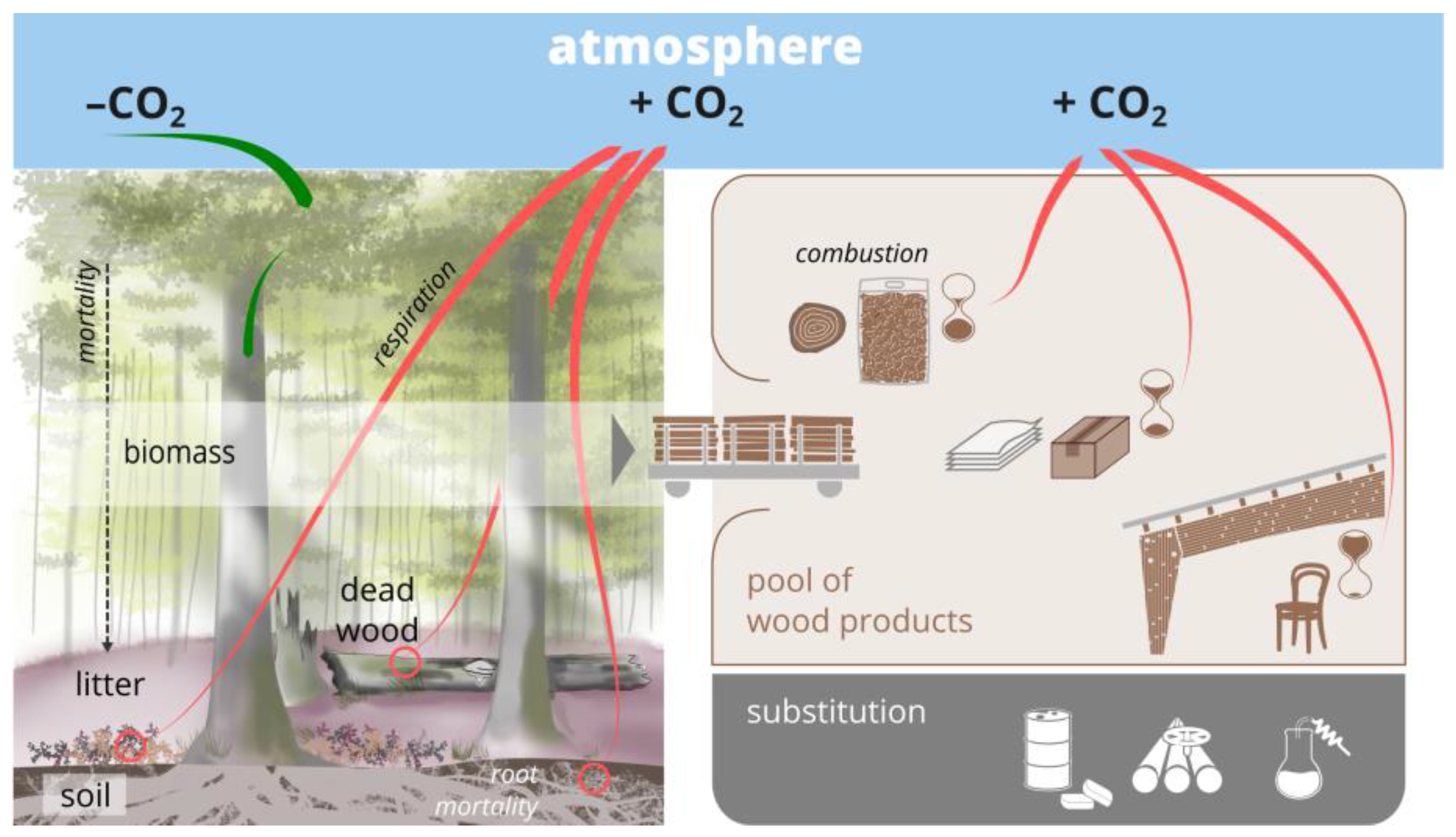 Forests 15 00359 g001