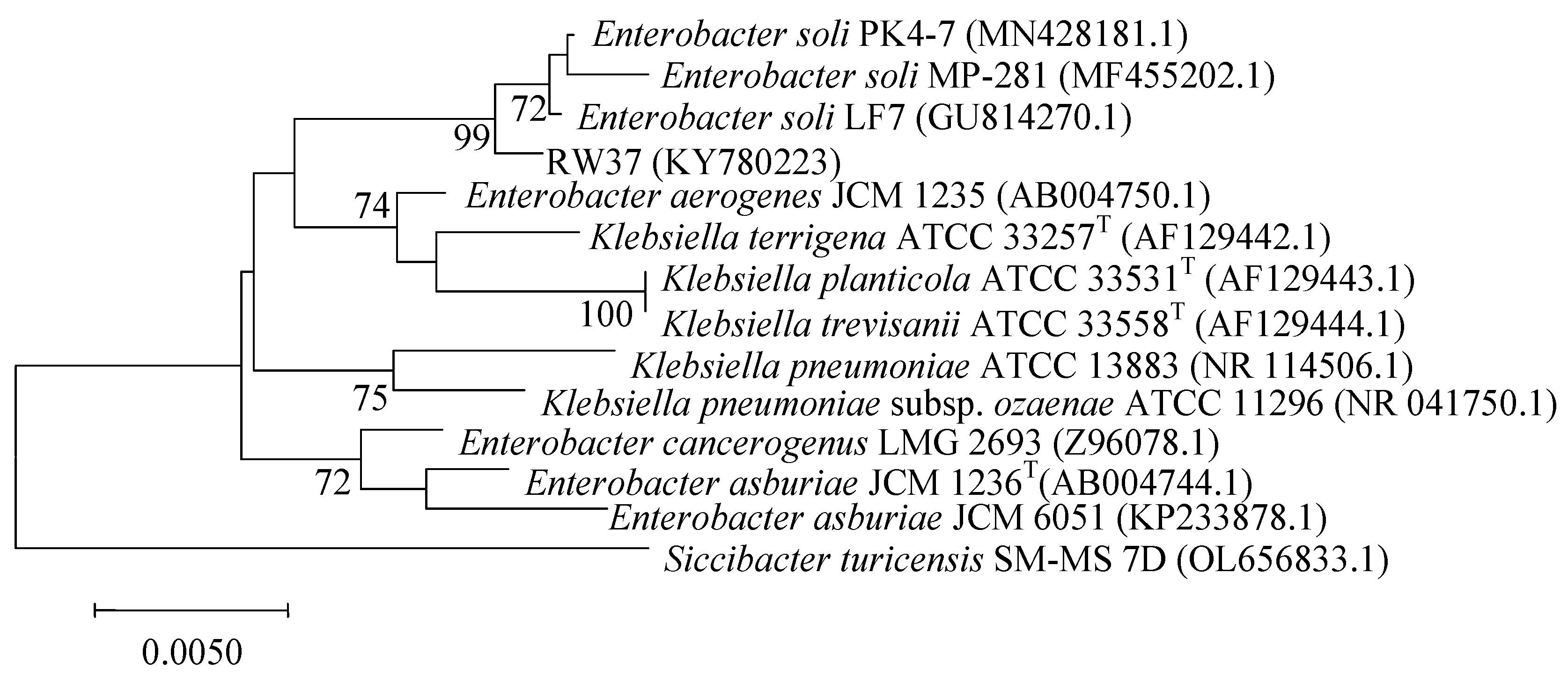 Forests 15 00364 g002