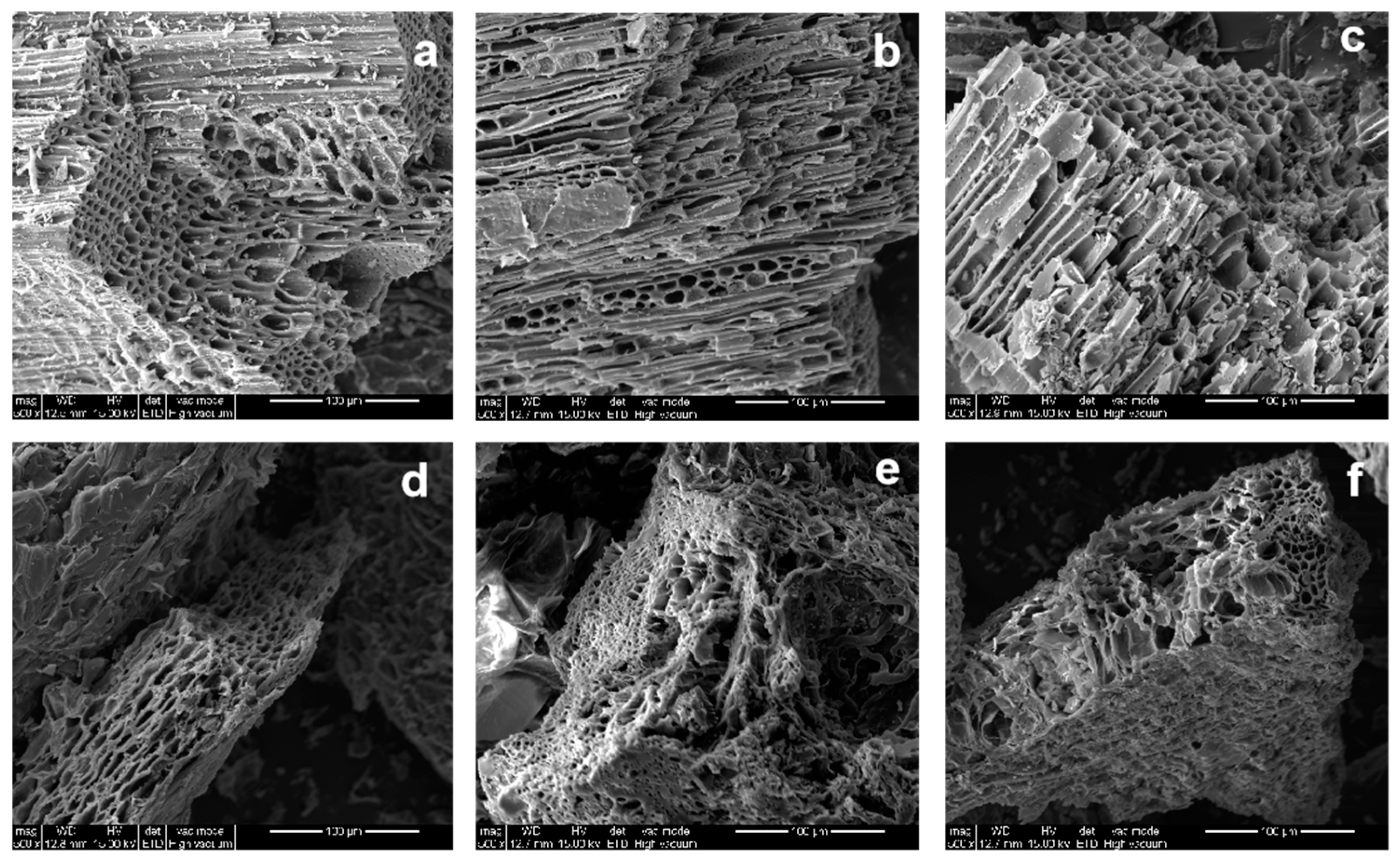 Forests 15 00366 g002 Forests 15 00366 g002