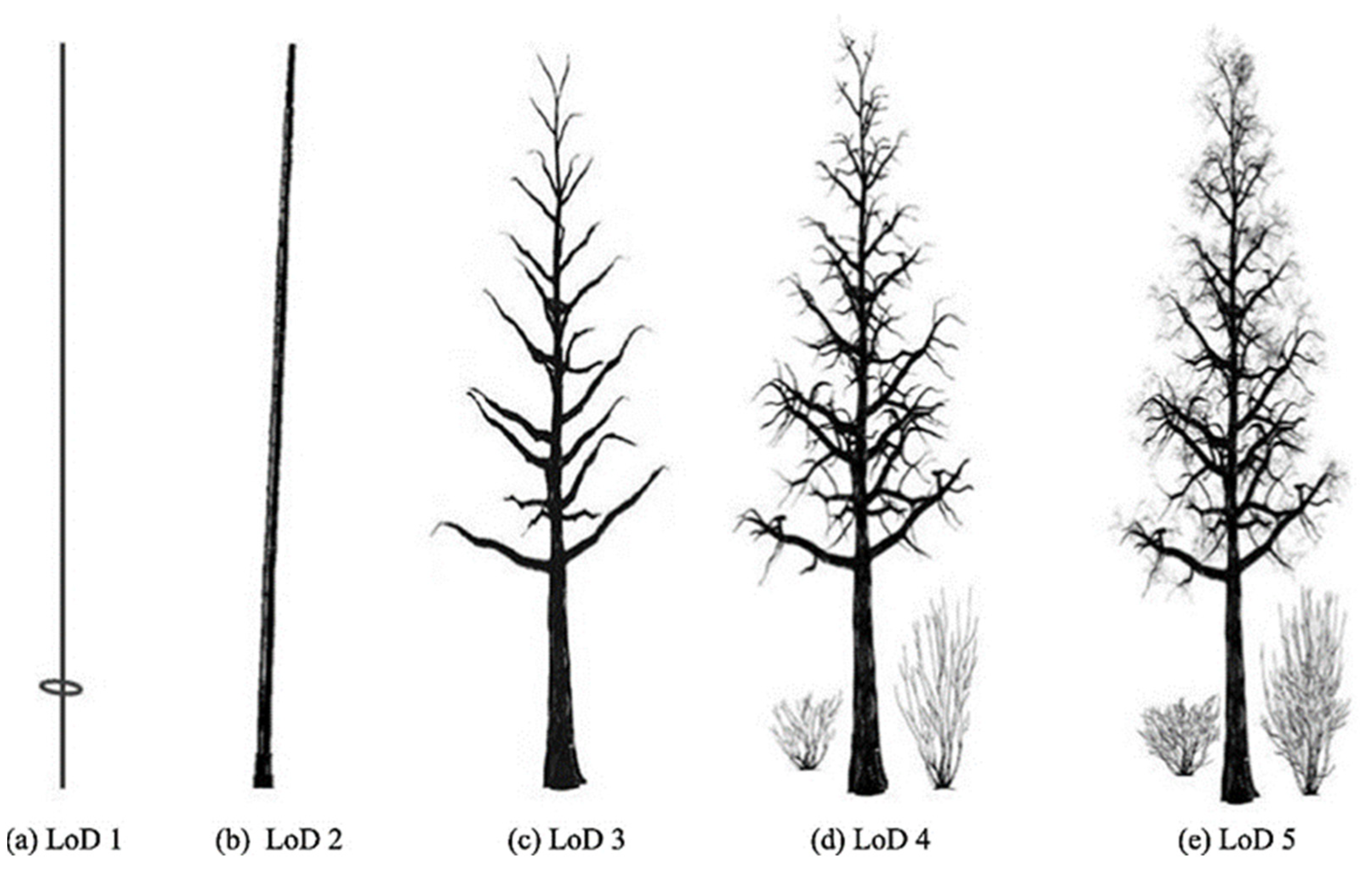 Forests 15 00368 g002 Forests 15 00368 g002
