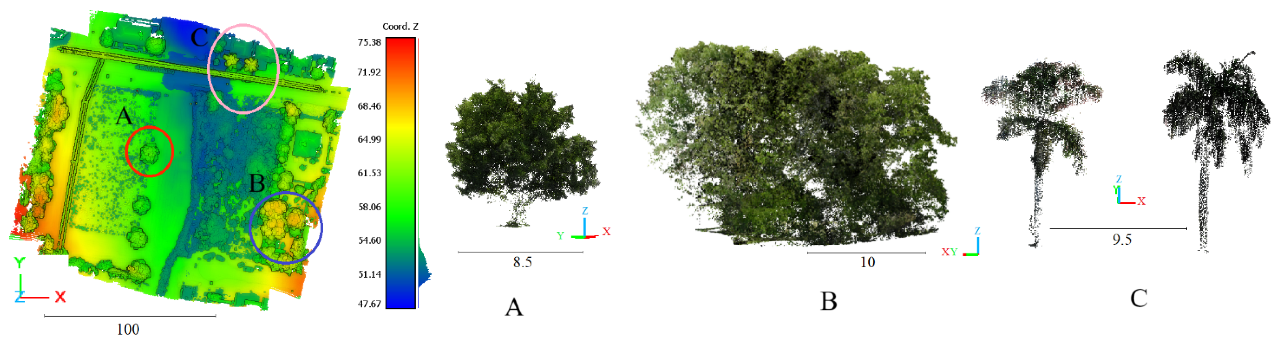 Forests 15 00368 g003 Forests 15 00368 g003
