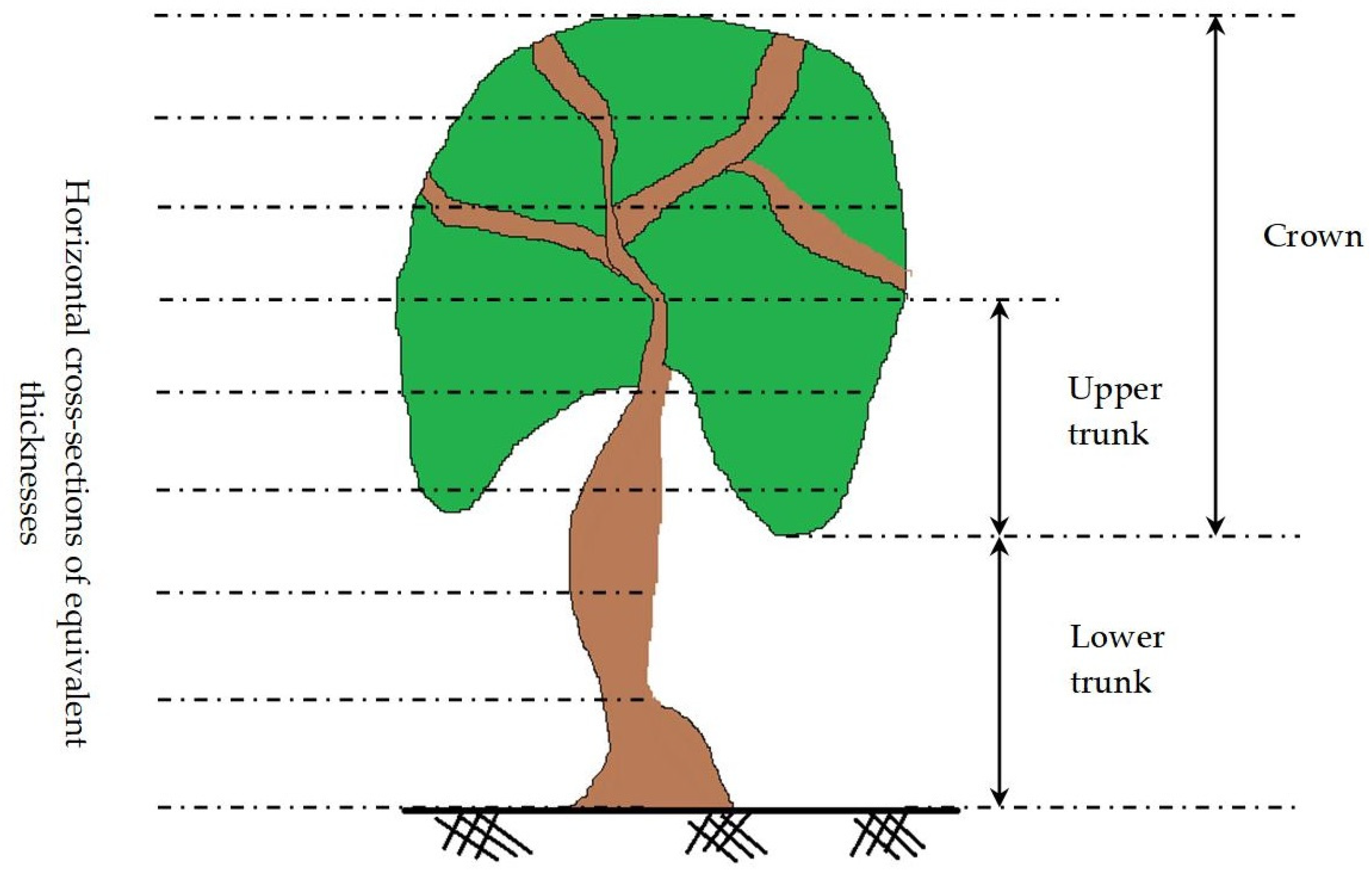 Forests 15 00368 g007 Forests 15 00368 g007