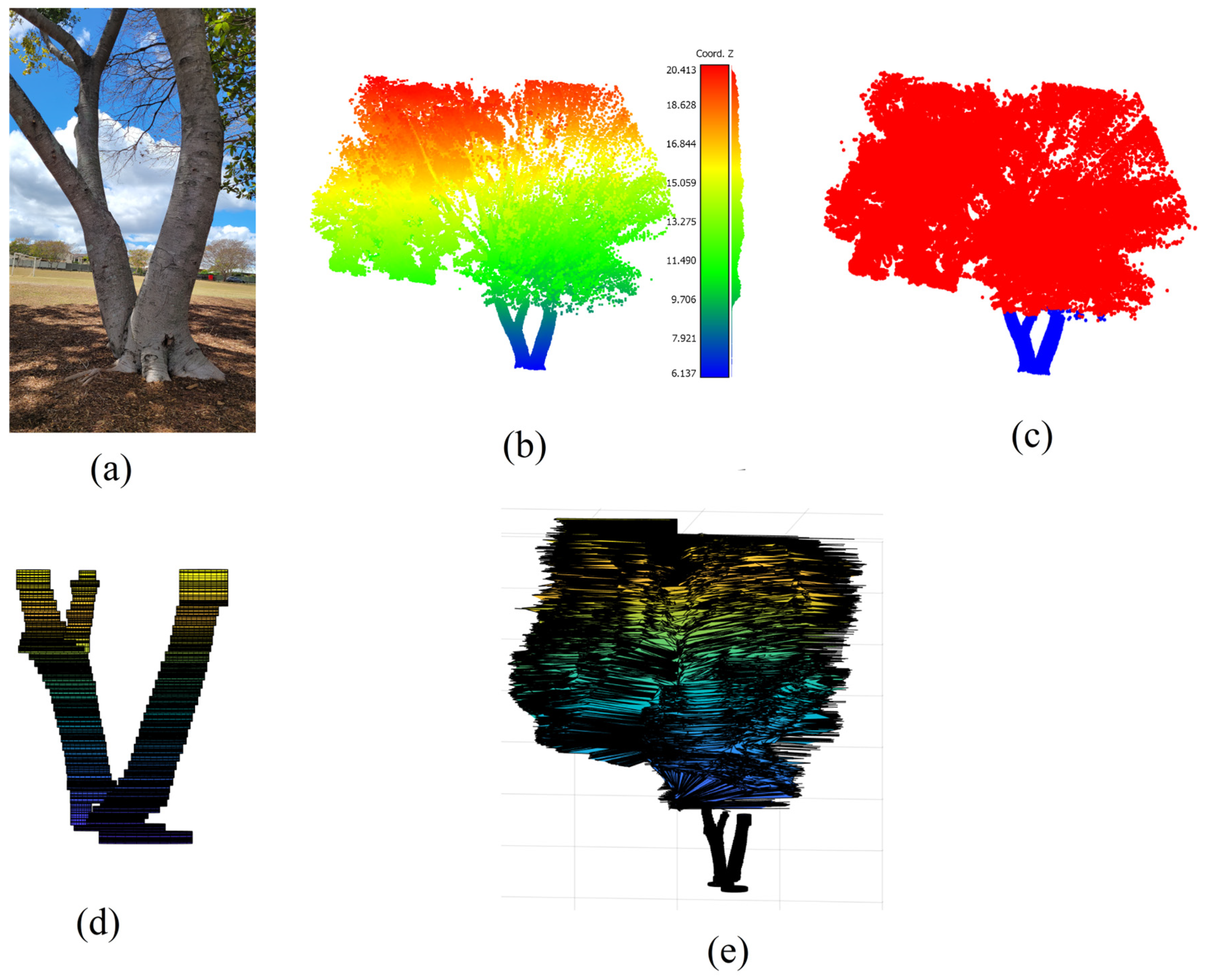 Forests 15 00368 g014 Forests 15 00368 g014