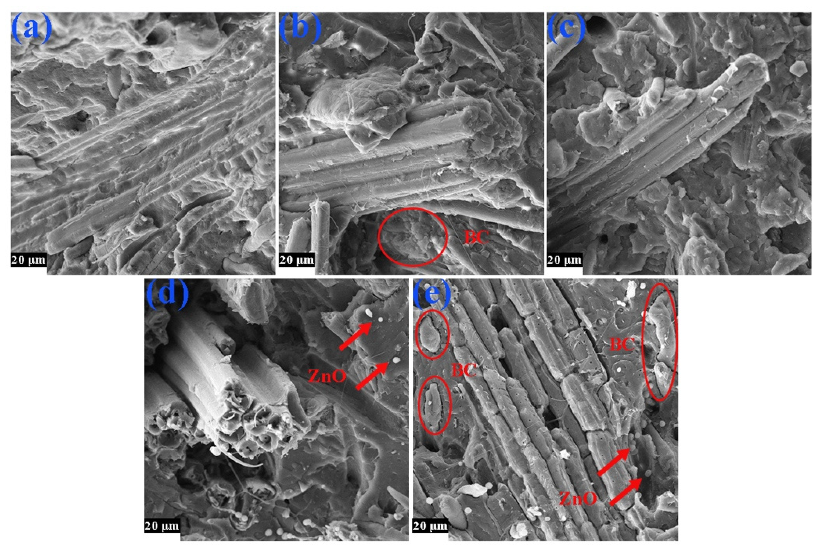 Forests 15 00371 g002