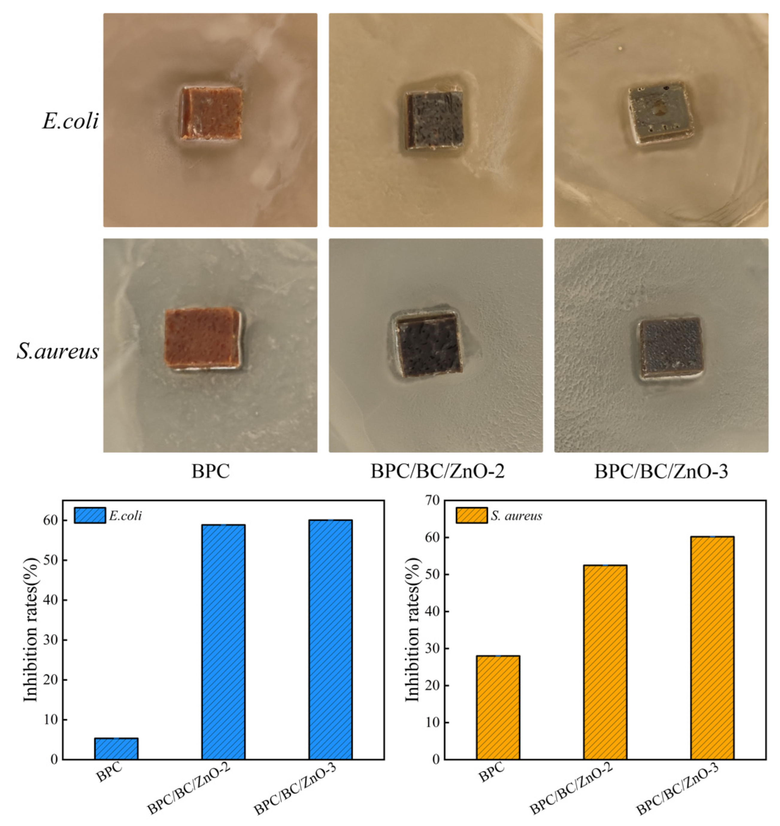 Forests 15 00371 g008