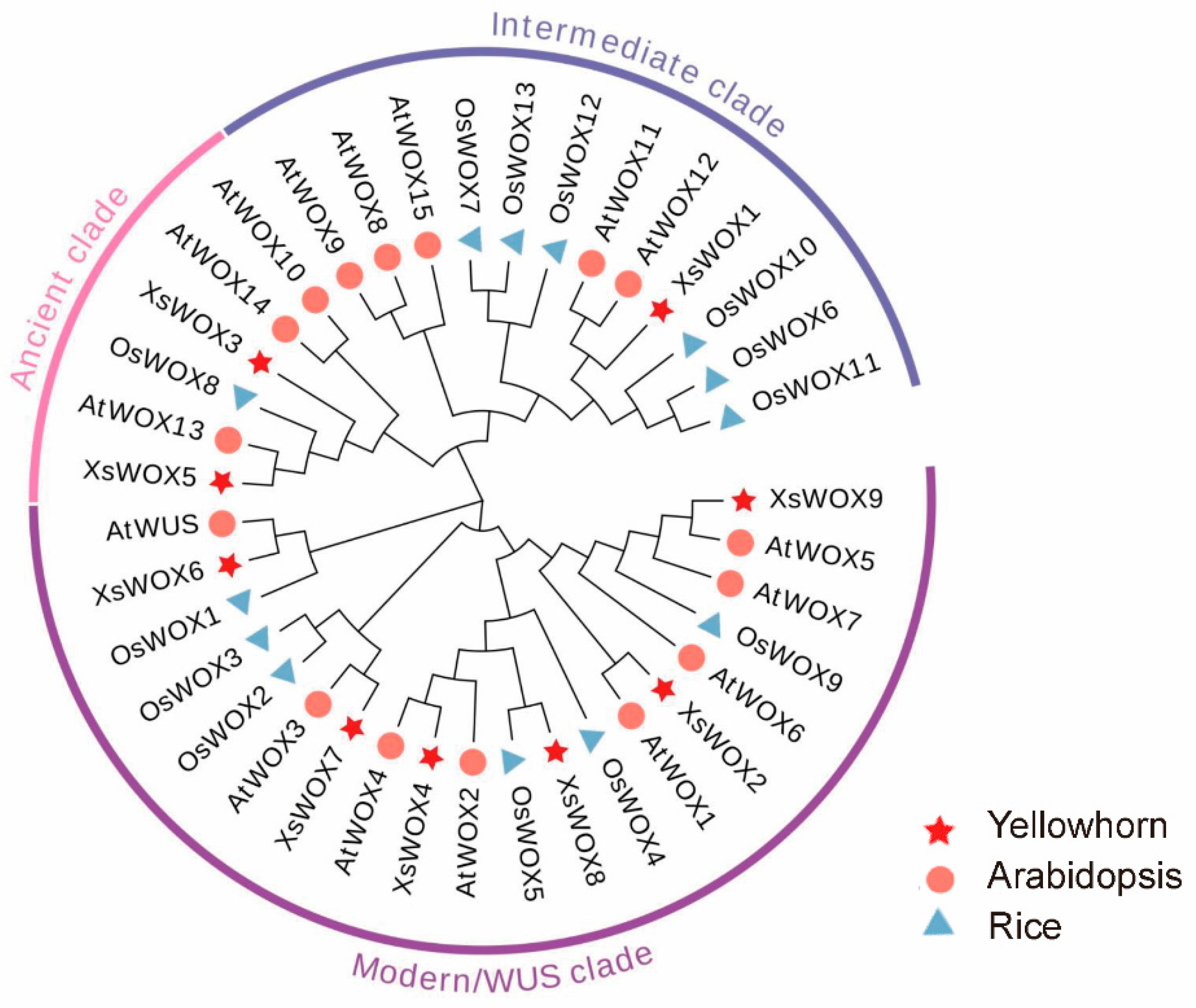 Forests 15 00376 g002