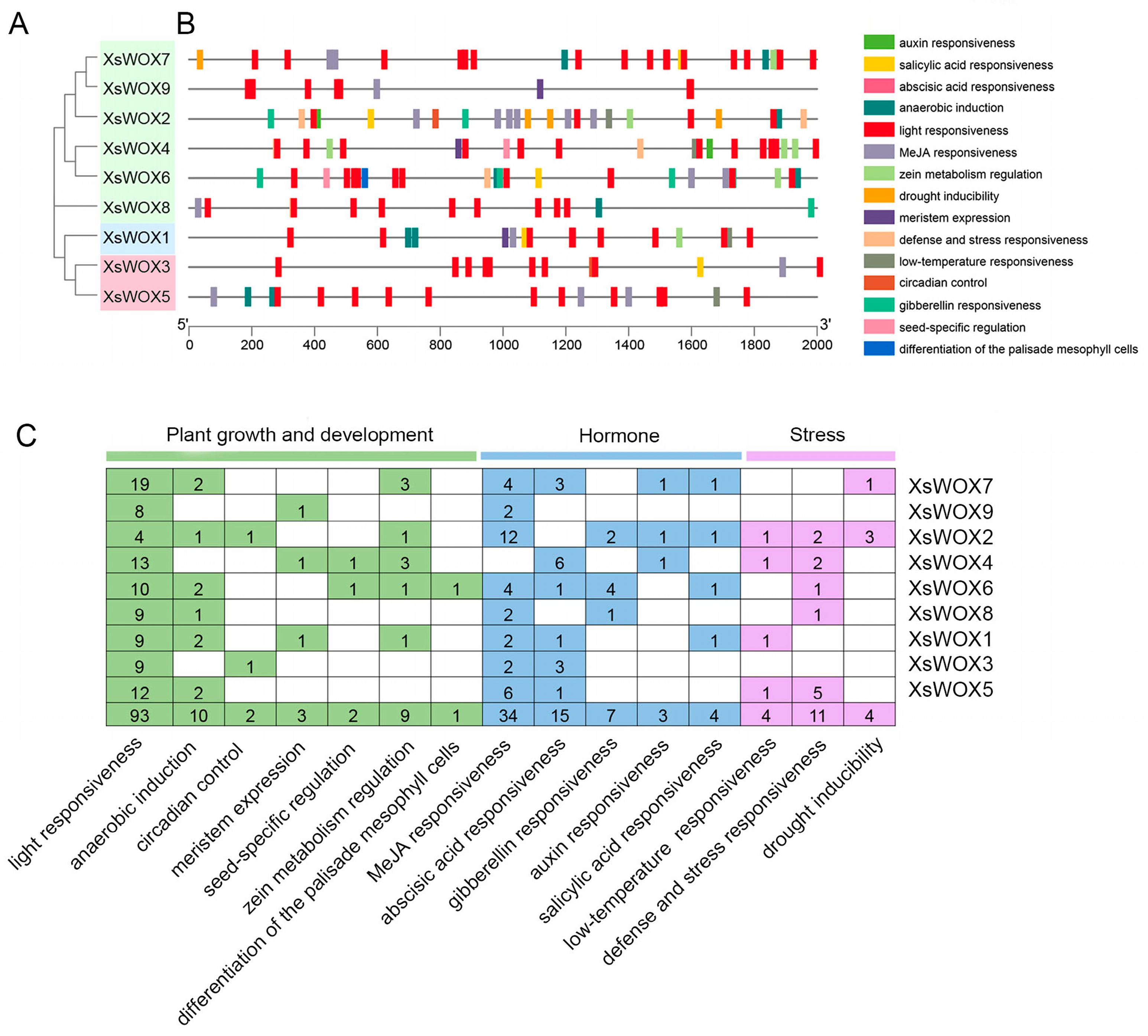 Forests 15 00376 g006