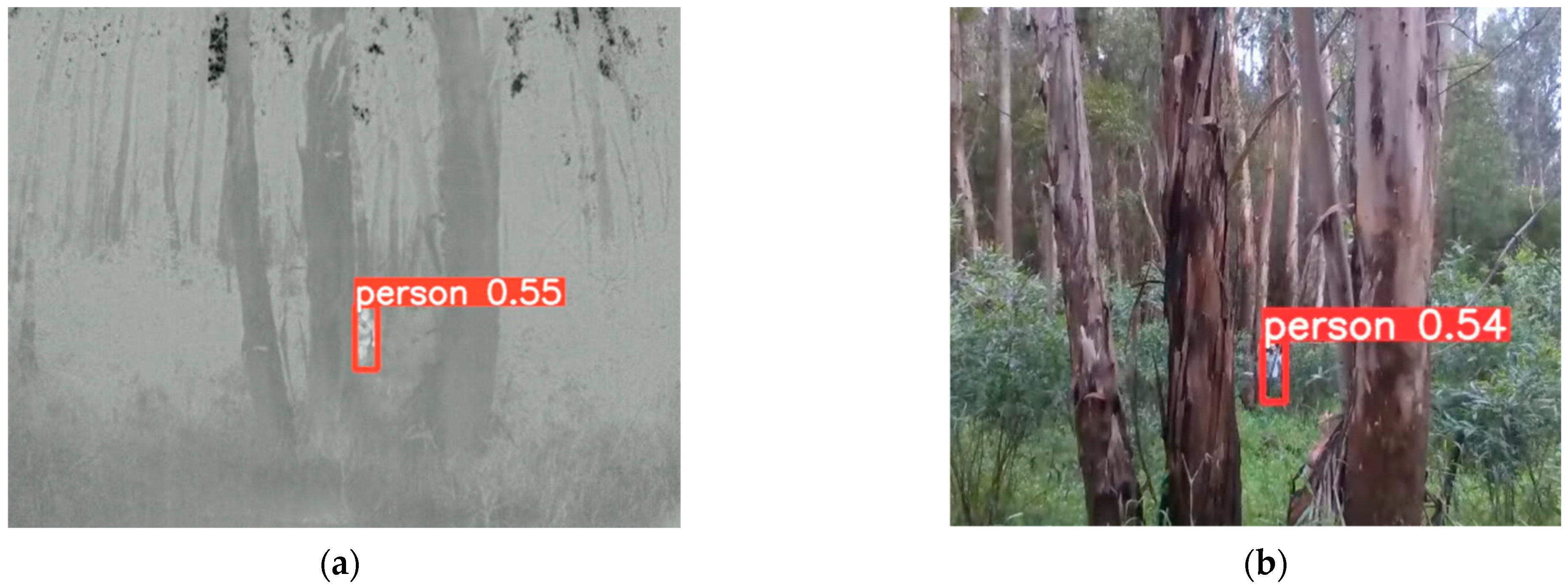 Forests 15 00381 g018 Forests 15 00381 g018