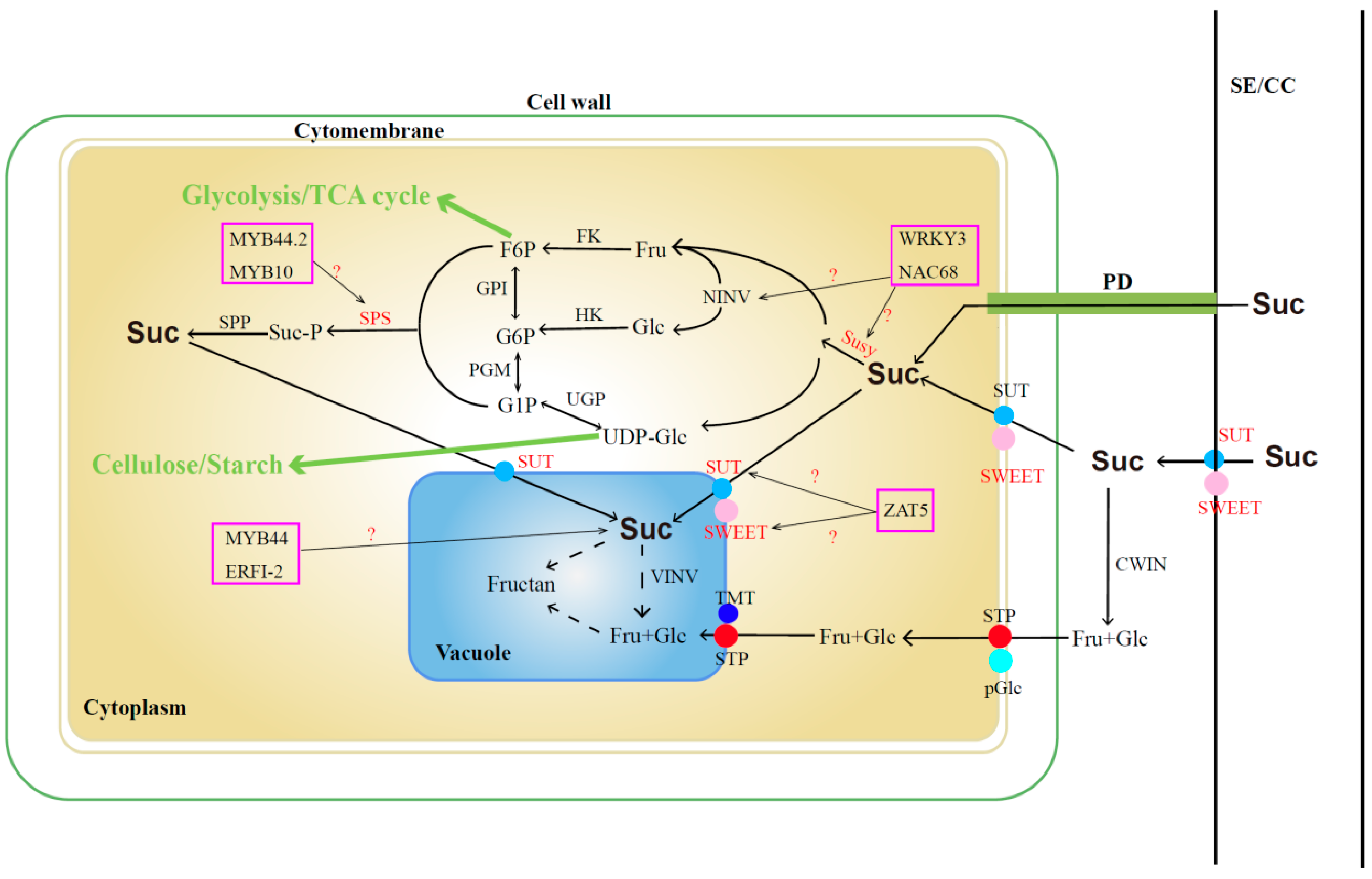 Forests 15 00395 g001