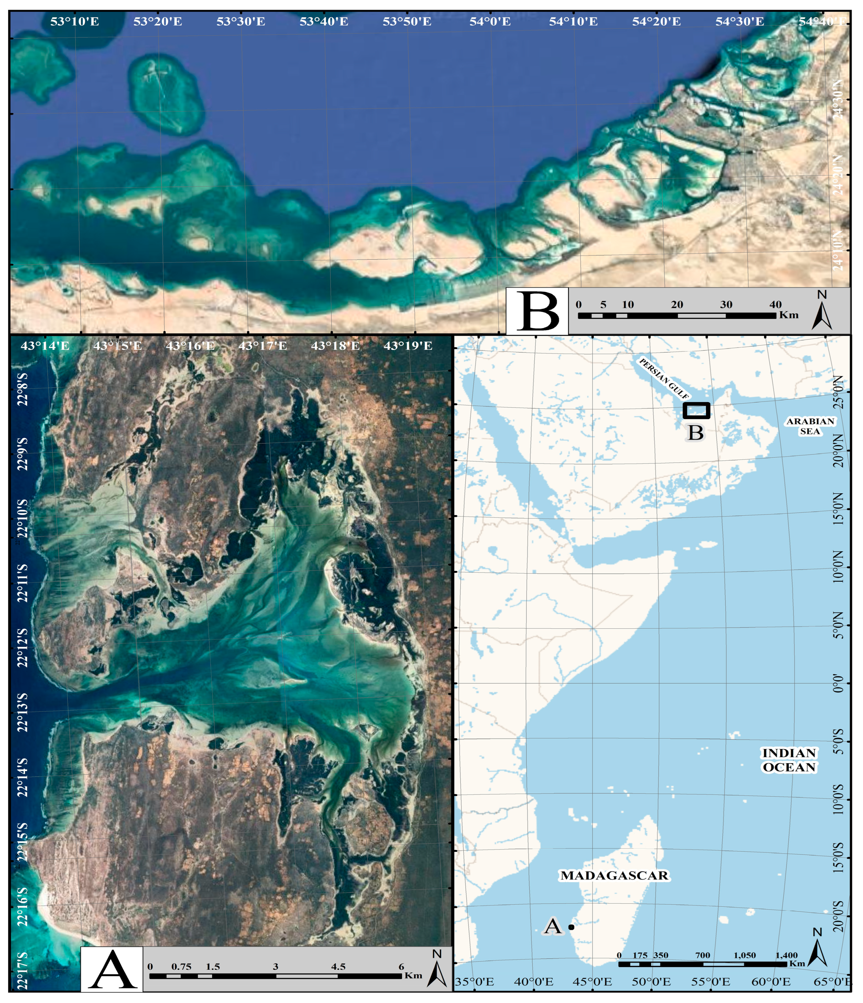 Forests 15 00399 g001