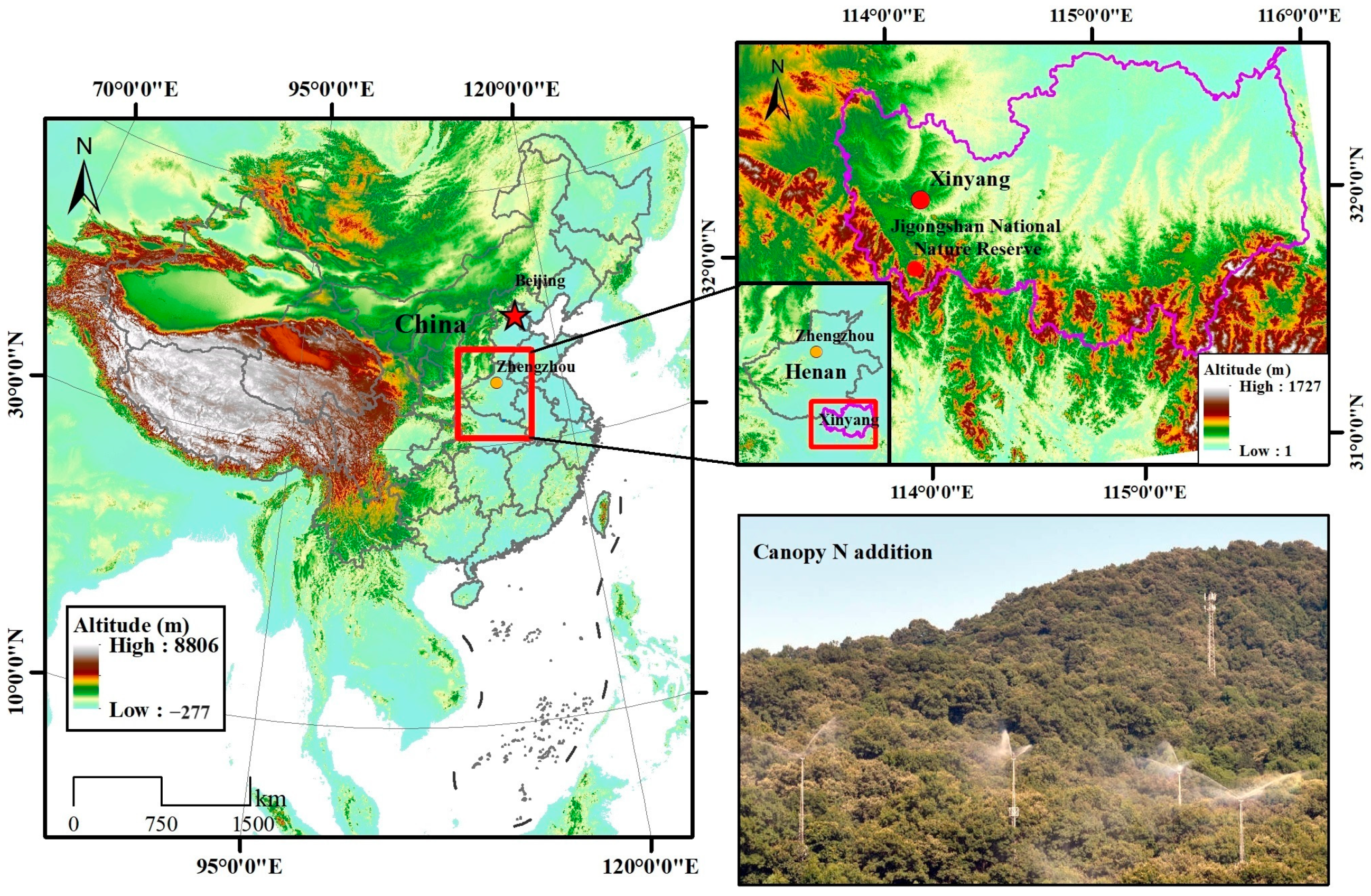 Forests 15 00416 g001