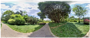 Forests 15 00417 i002