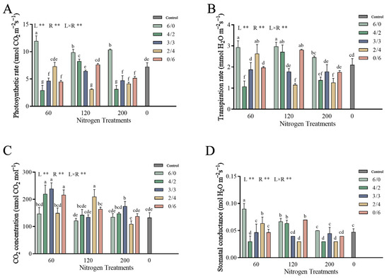 Forests 15 00419 g0a1