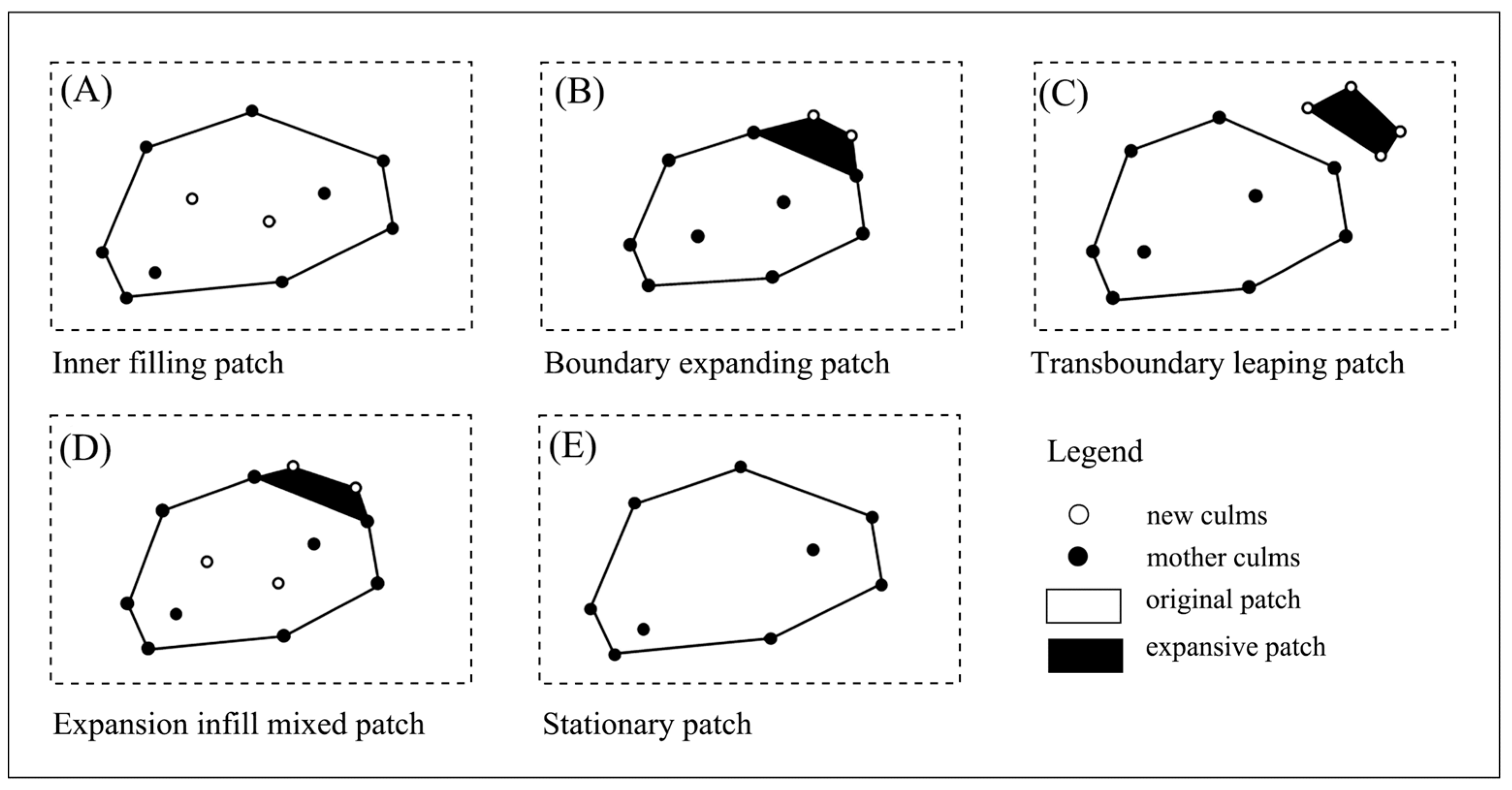 Forests 15 00438 g004