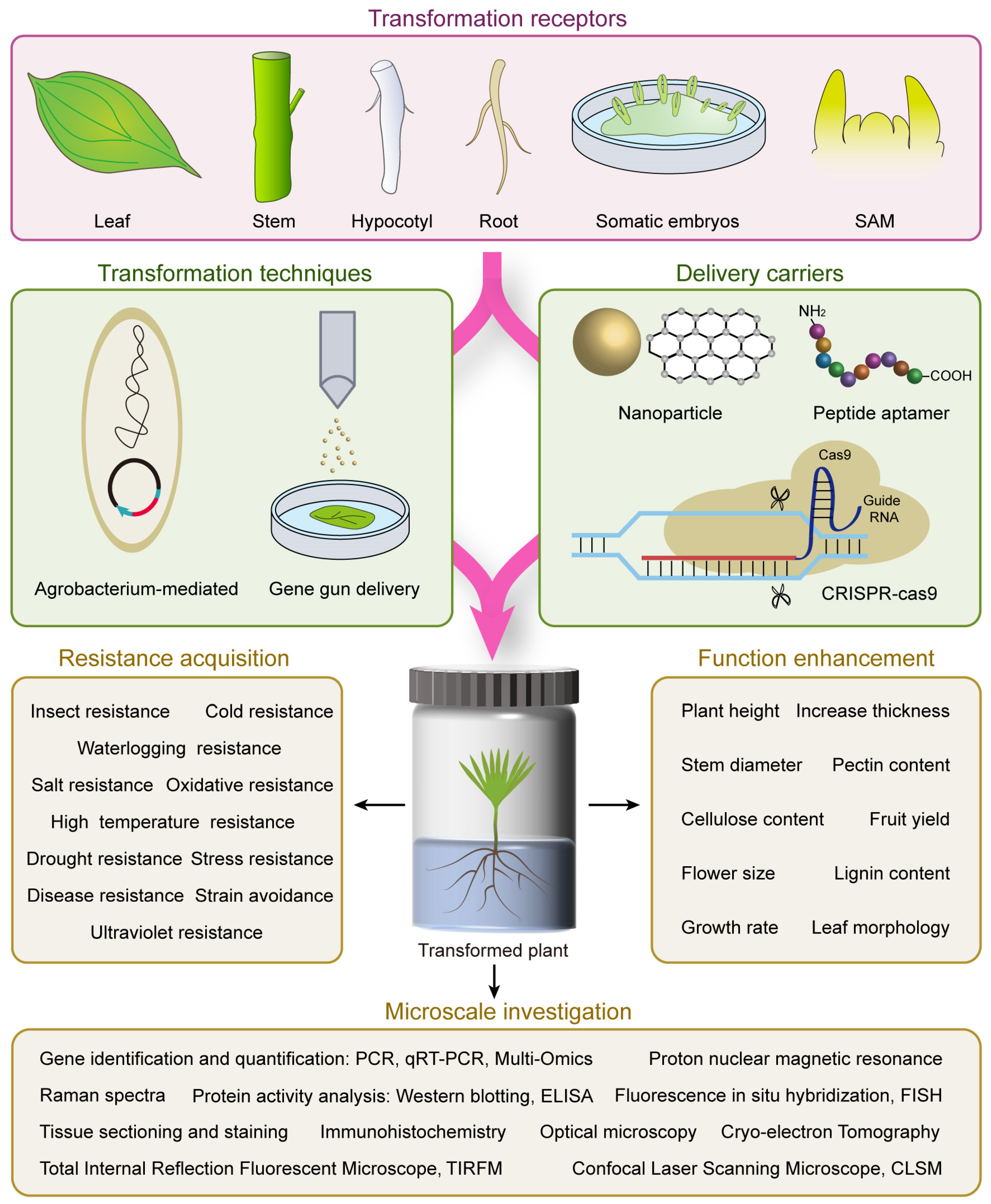 Forests 15 00441 g001