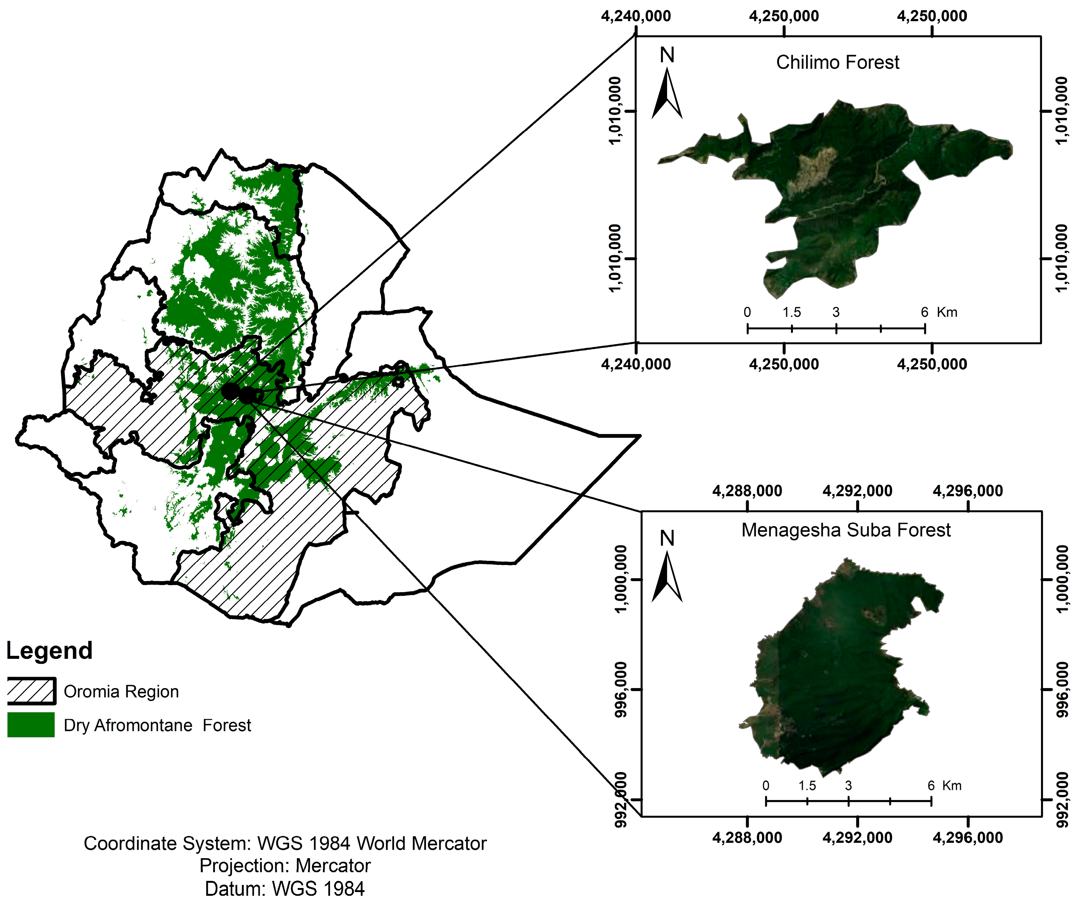 Forests 15 00443 g001