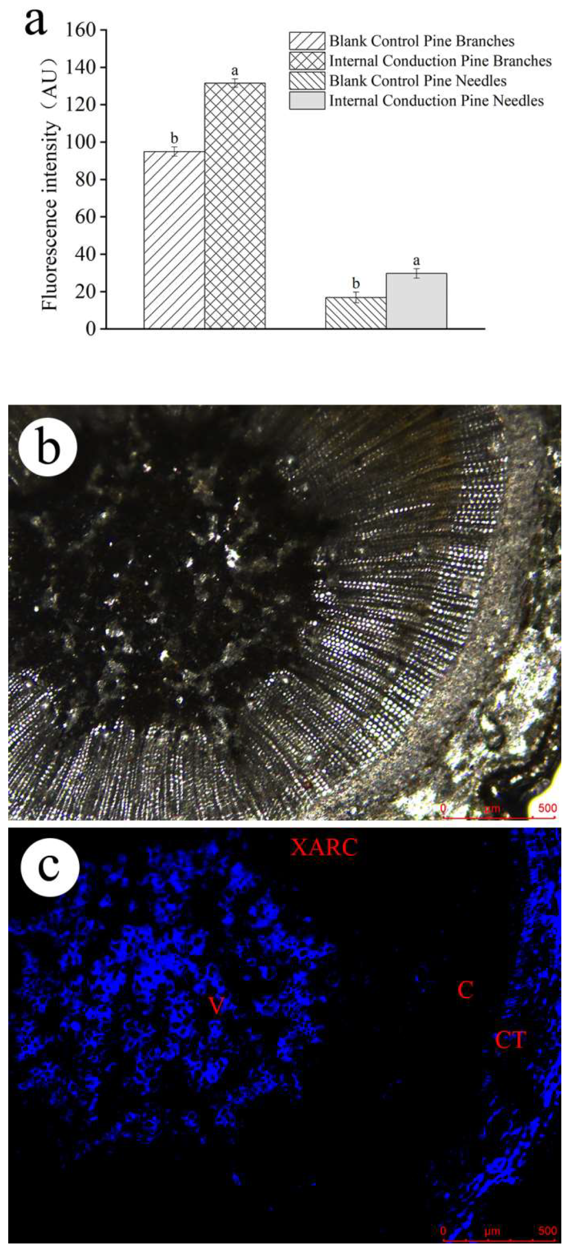 Forests 15 00444 g004