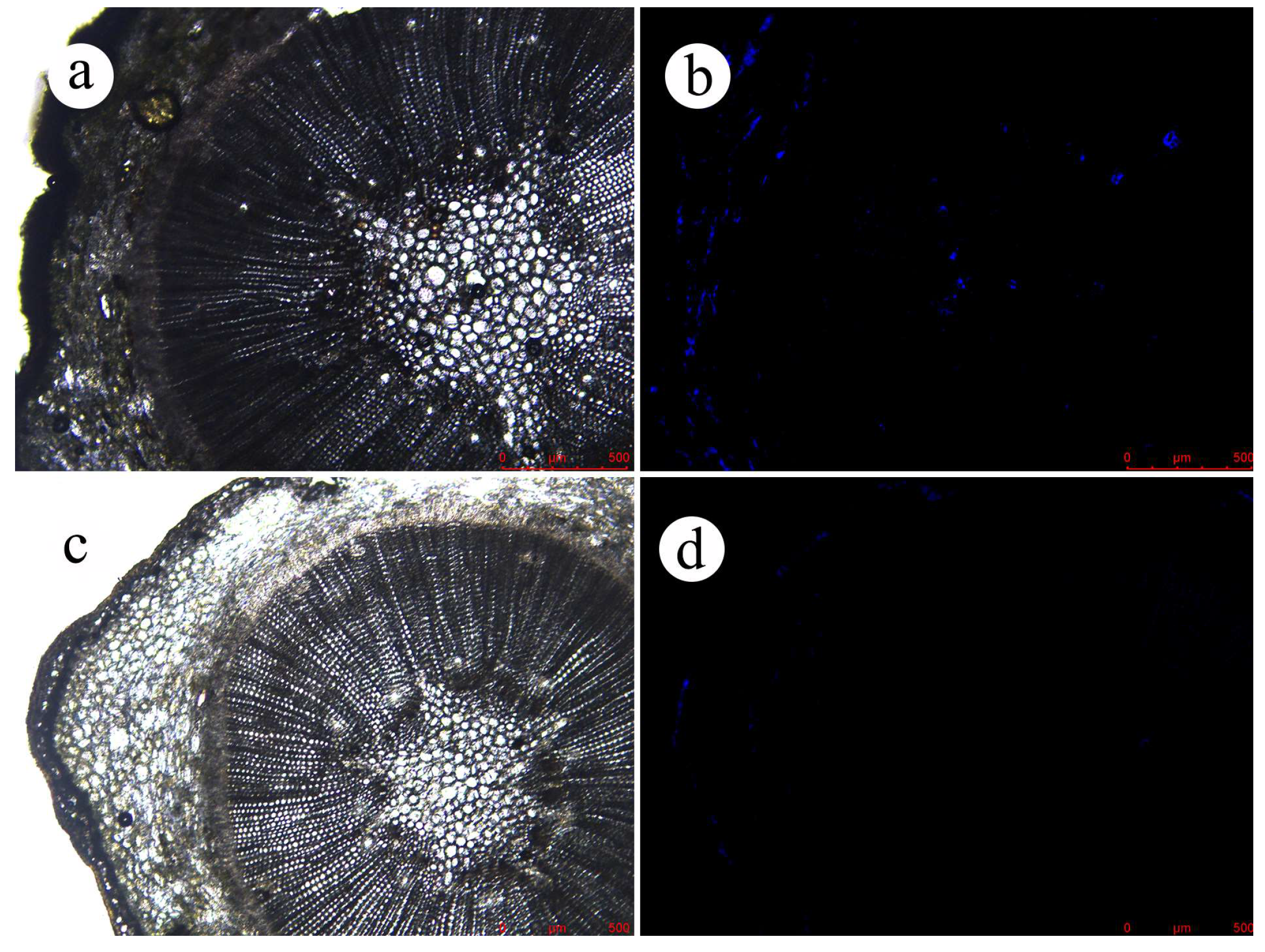Forests 15 00444 g006