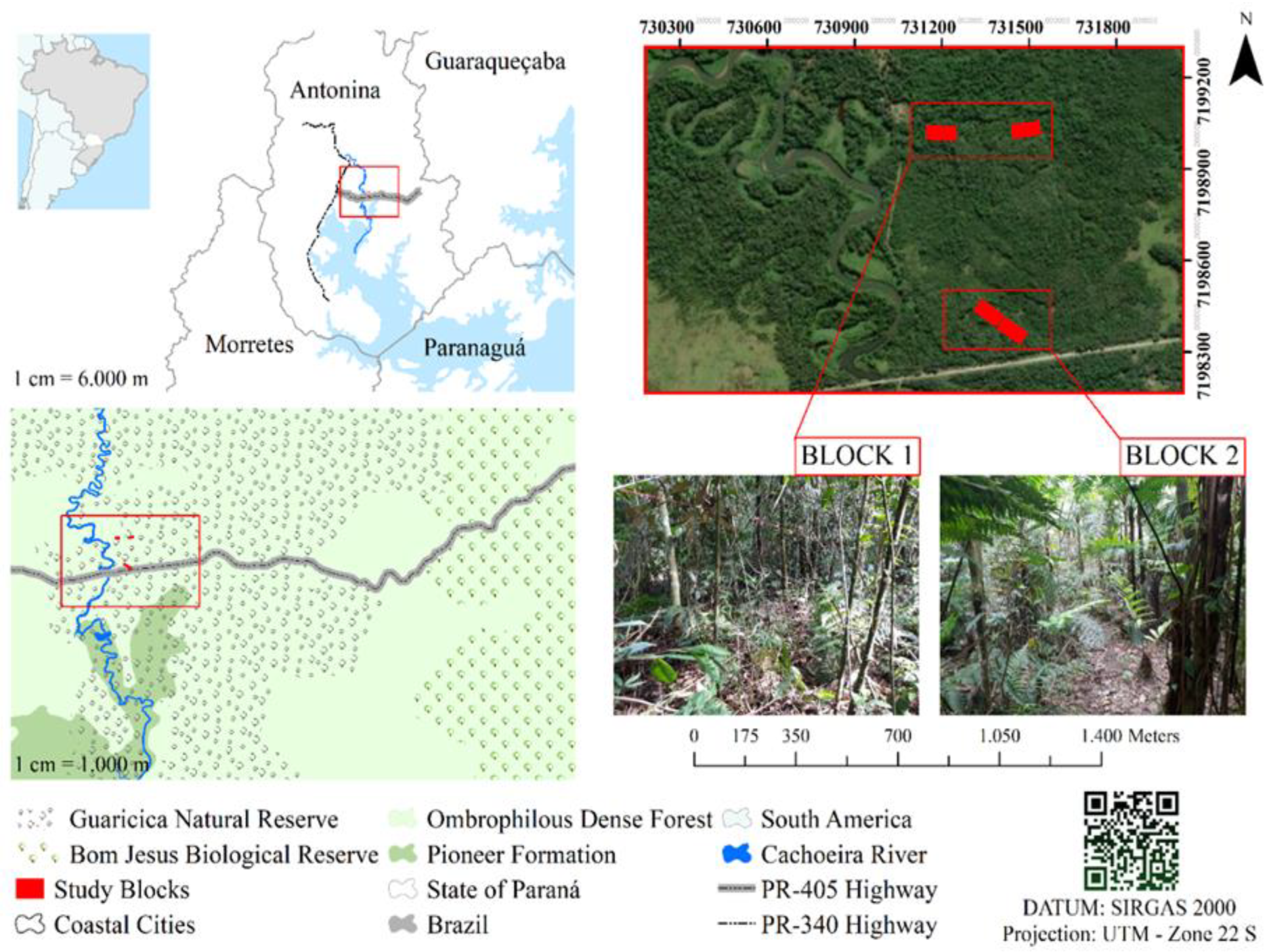 Forests 15 00447 g001 Forests 15 00447 g001