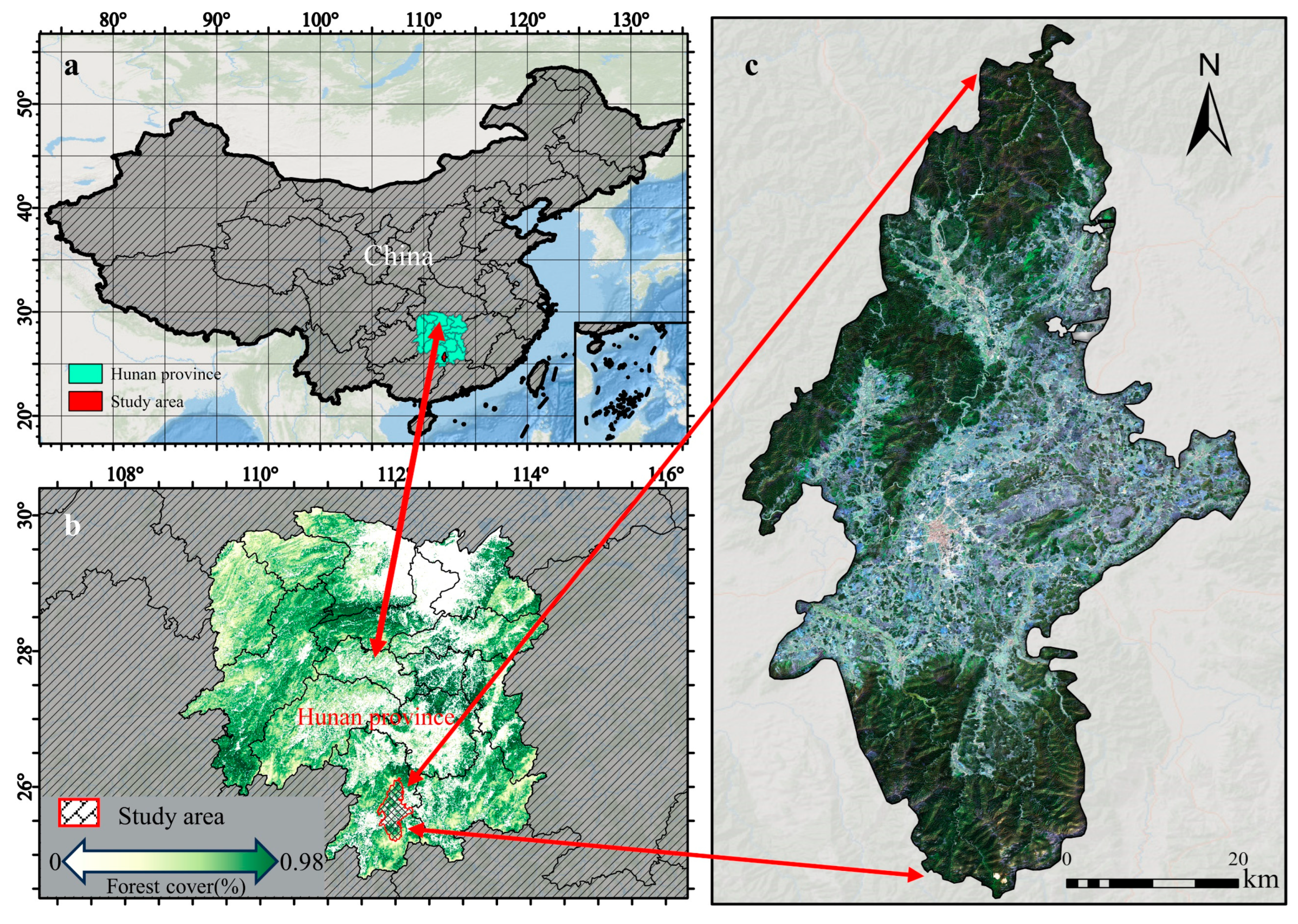 Forests 15 00474 g001