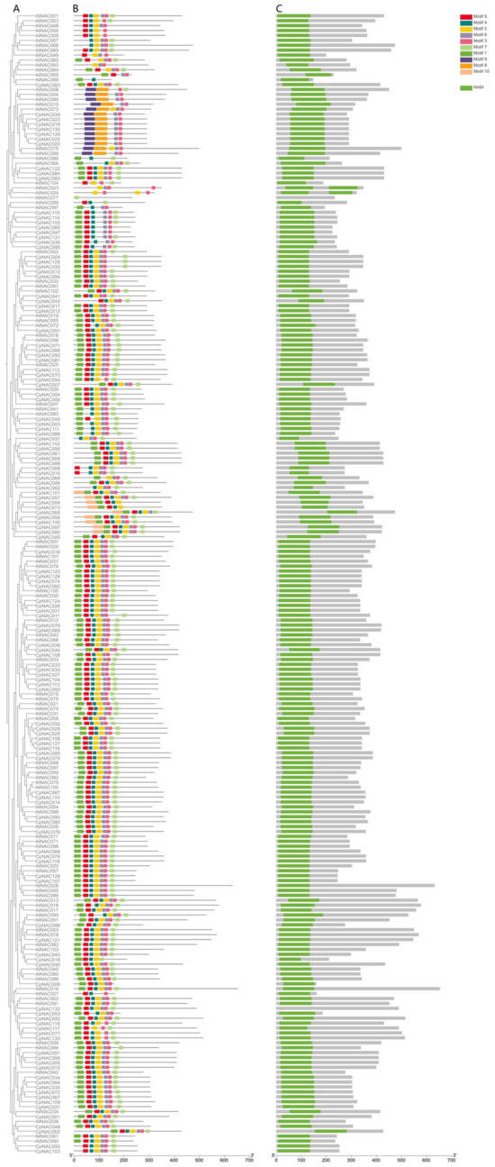 Forests 15 00479 g002