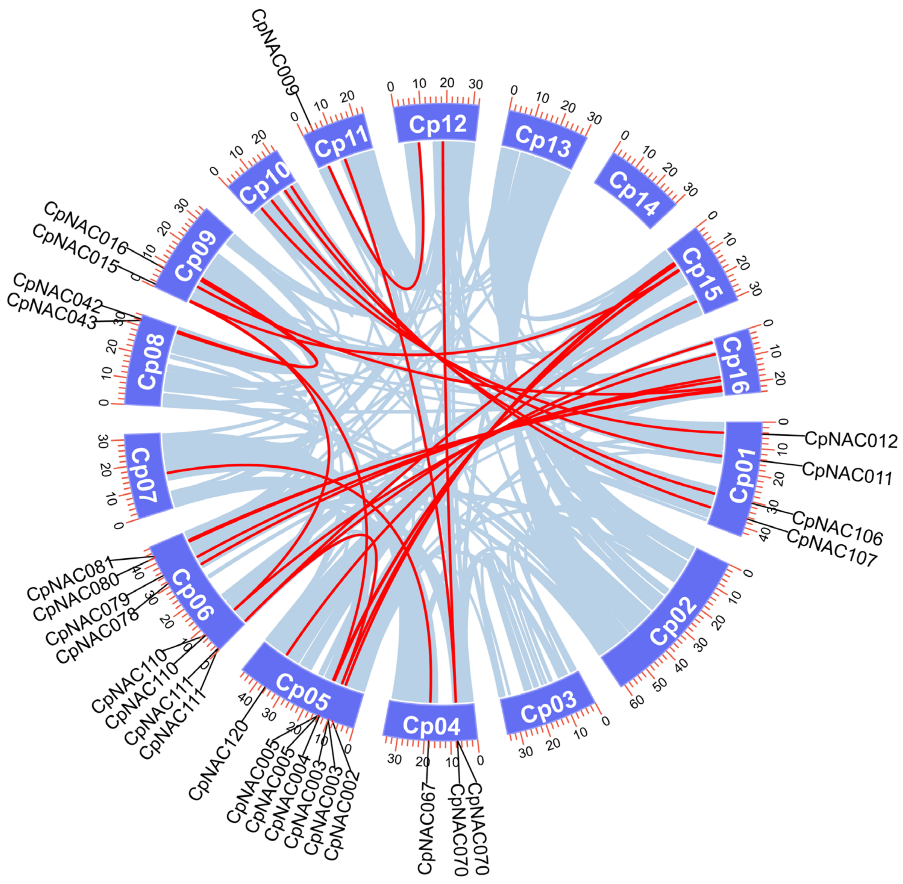 Forests 15 00479 g004