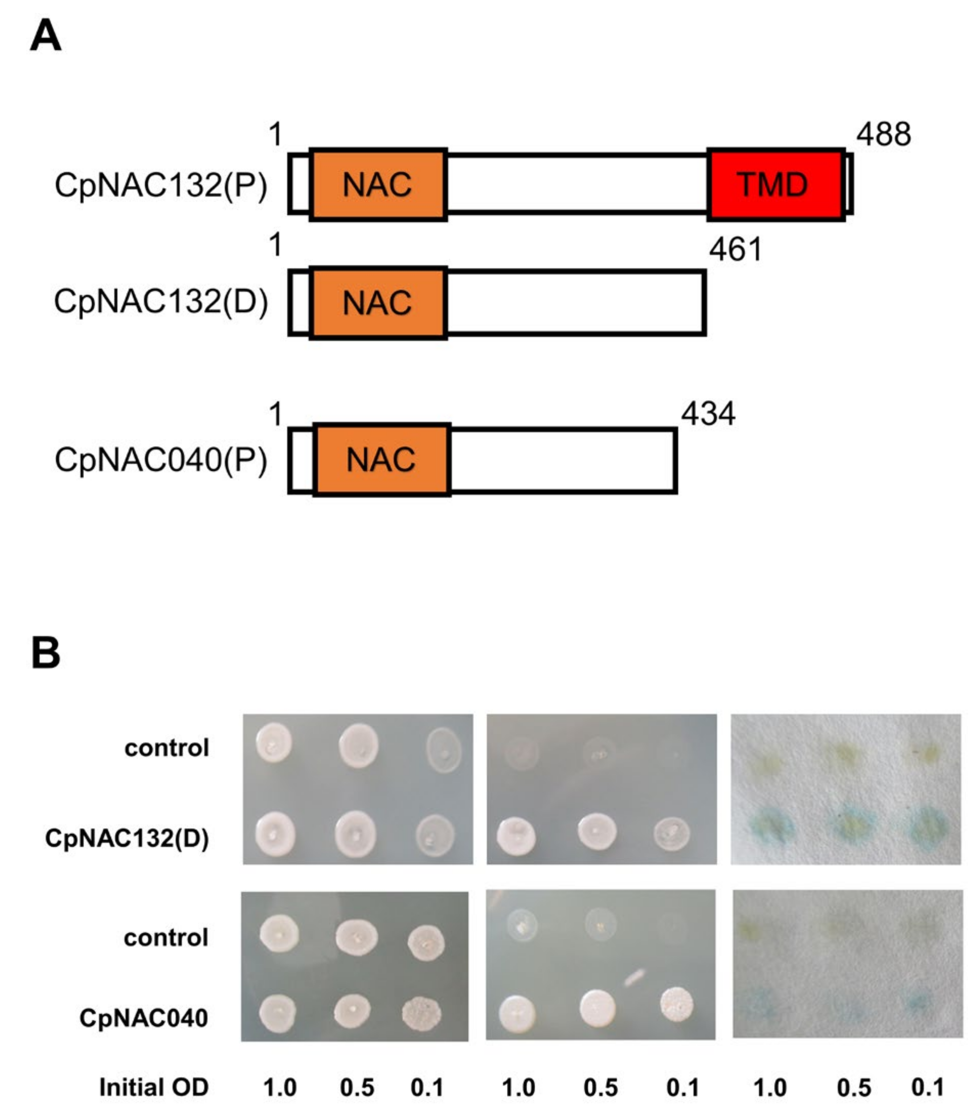 Forests 15 00479 g008