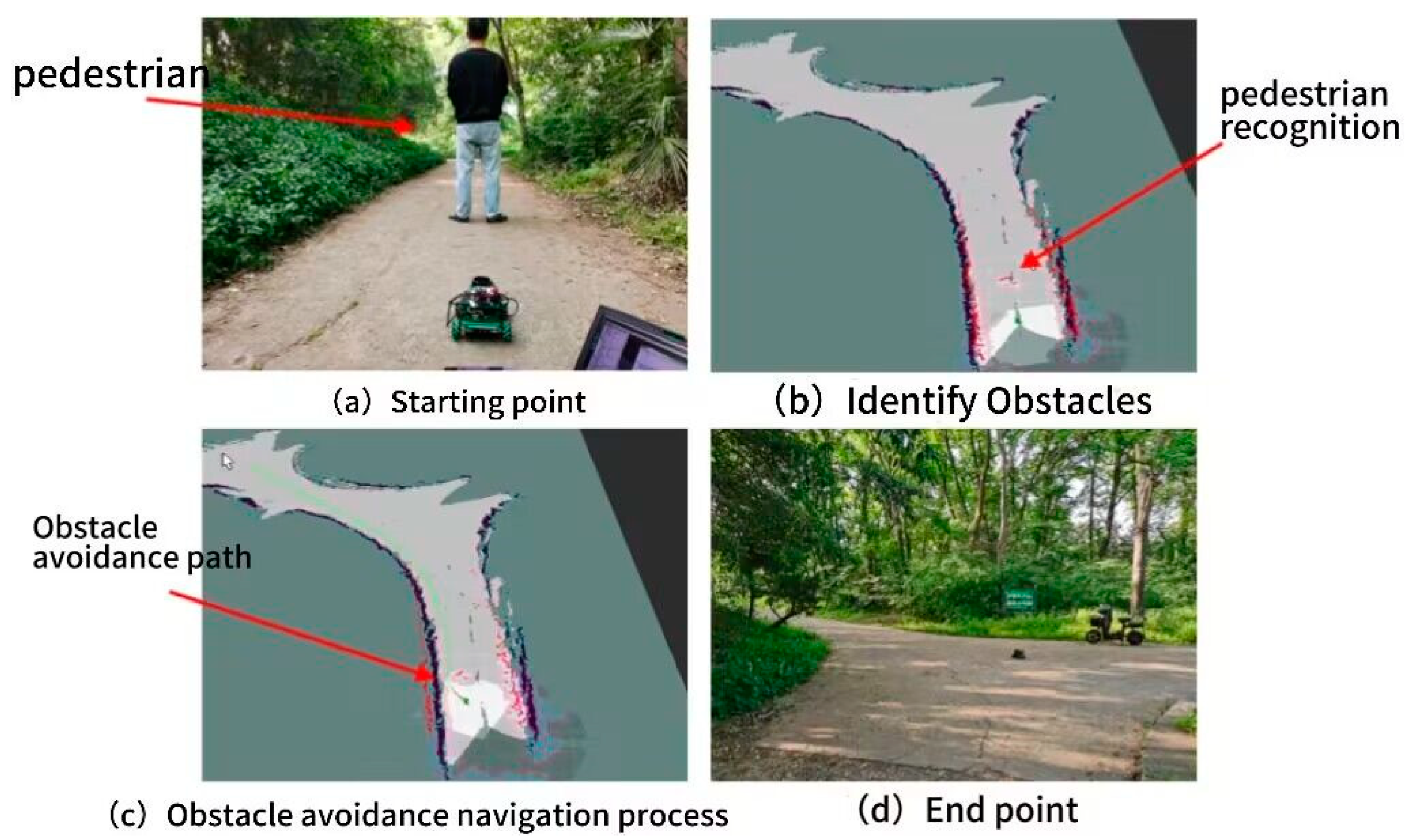 Forests 15 00483 g025