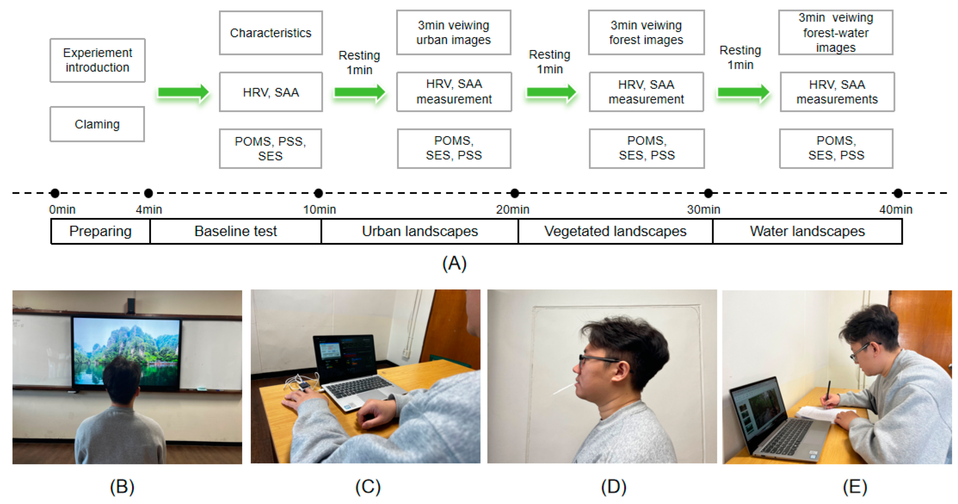 Forests 15 00498 g001