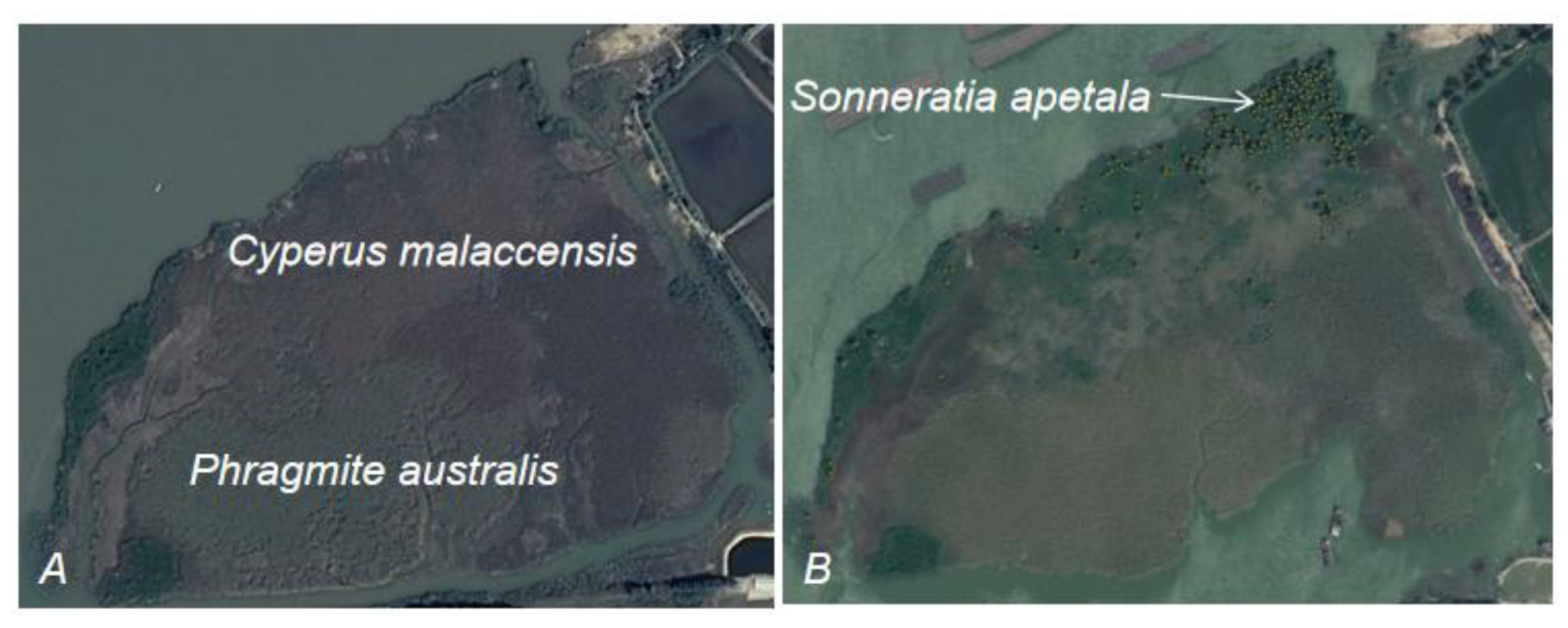 Forests 15 00525 g003