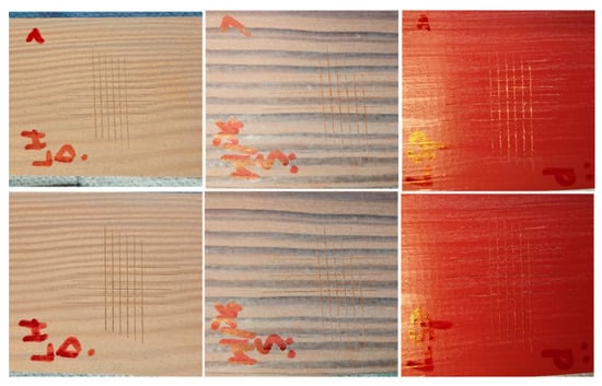 Forests 15 00526 g0a3