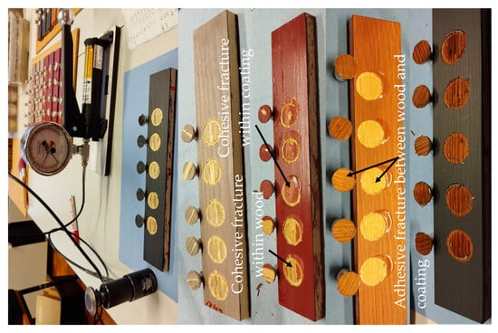 Forests 15 00526 g0a5