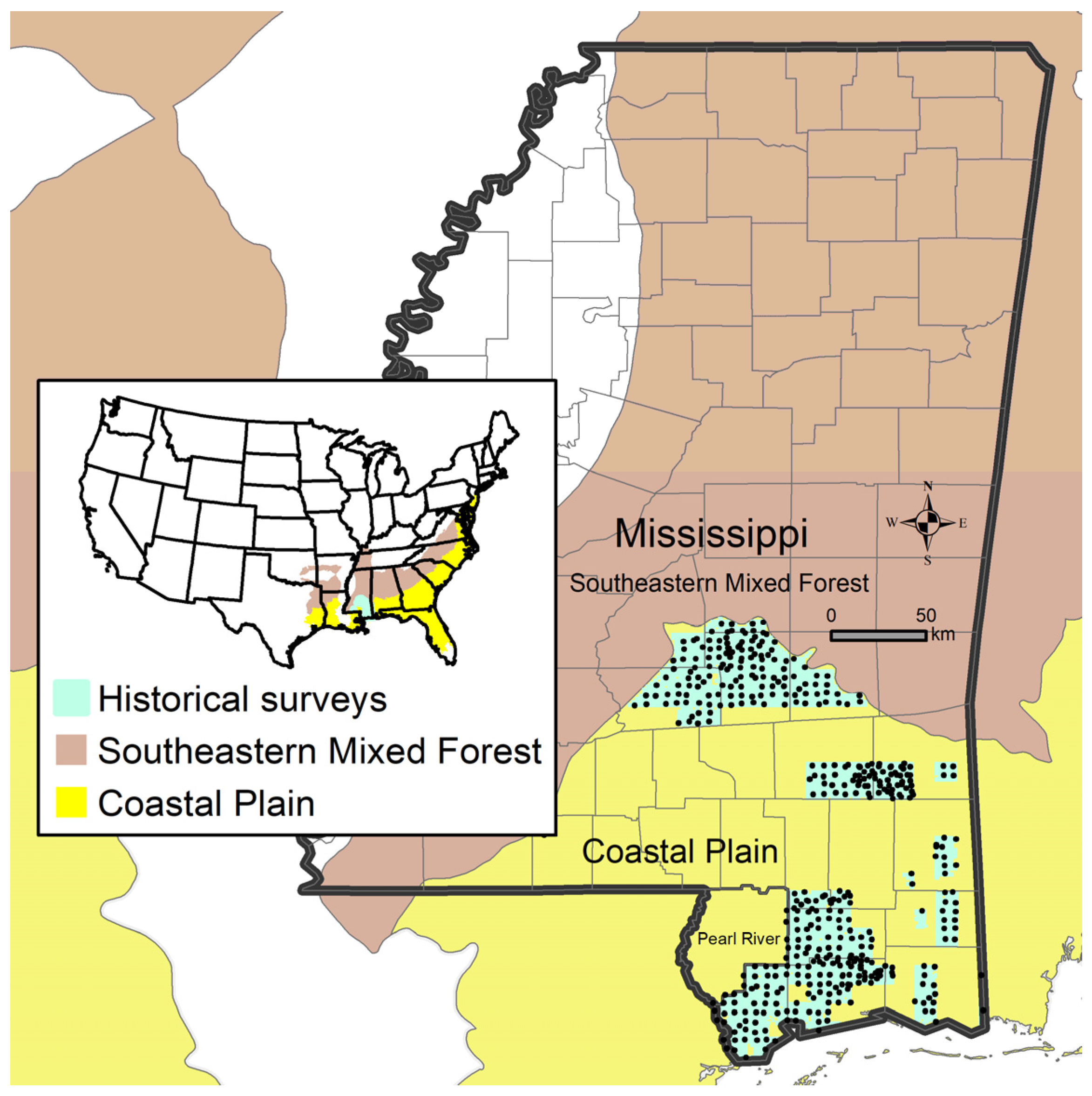 Forests 15 00532 g001