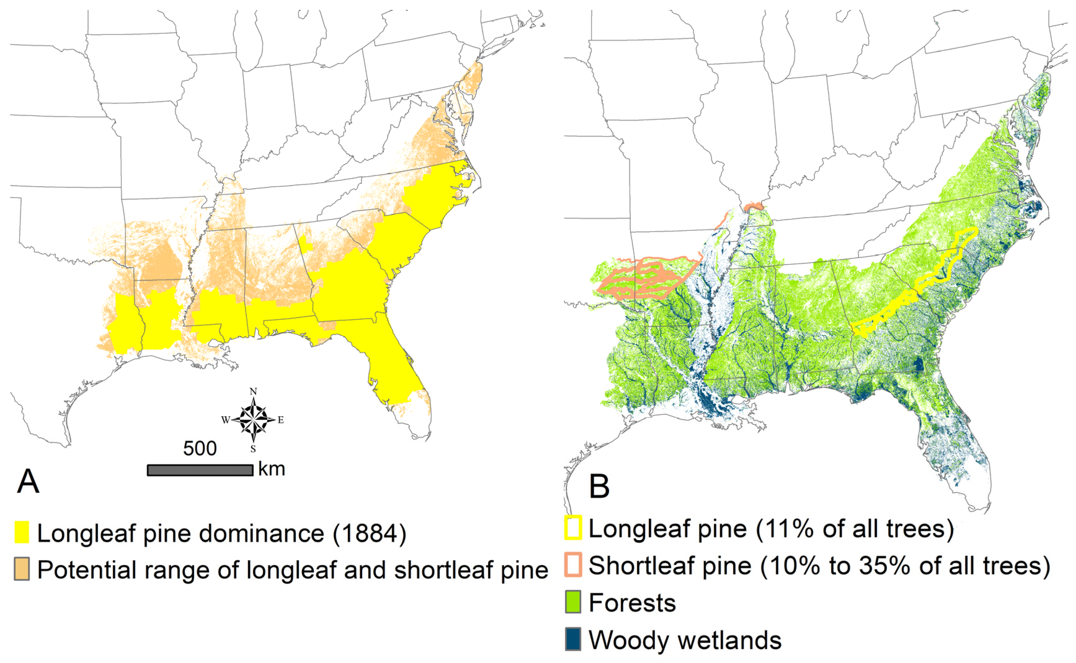 Forests 15 00532 g006