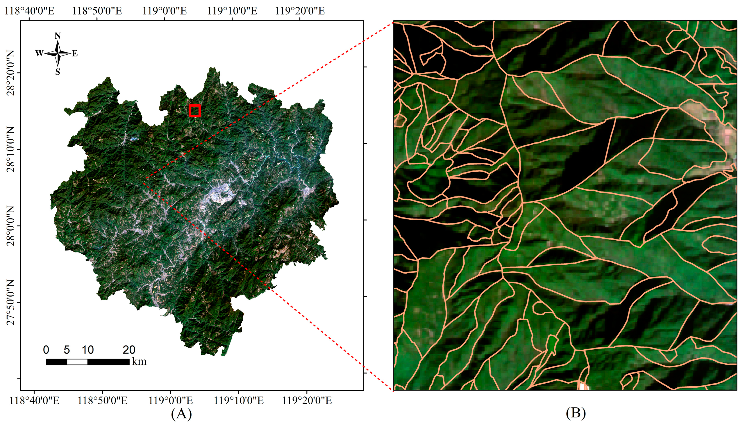 Forests 15 00533 g004 Forests 15 00533 g004