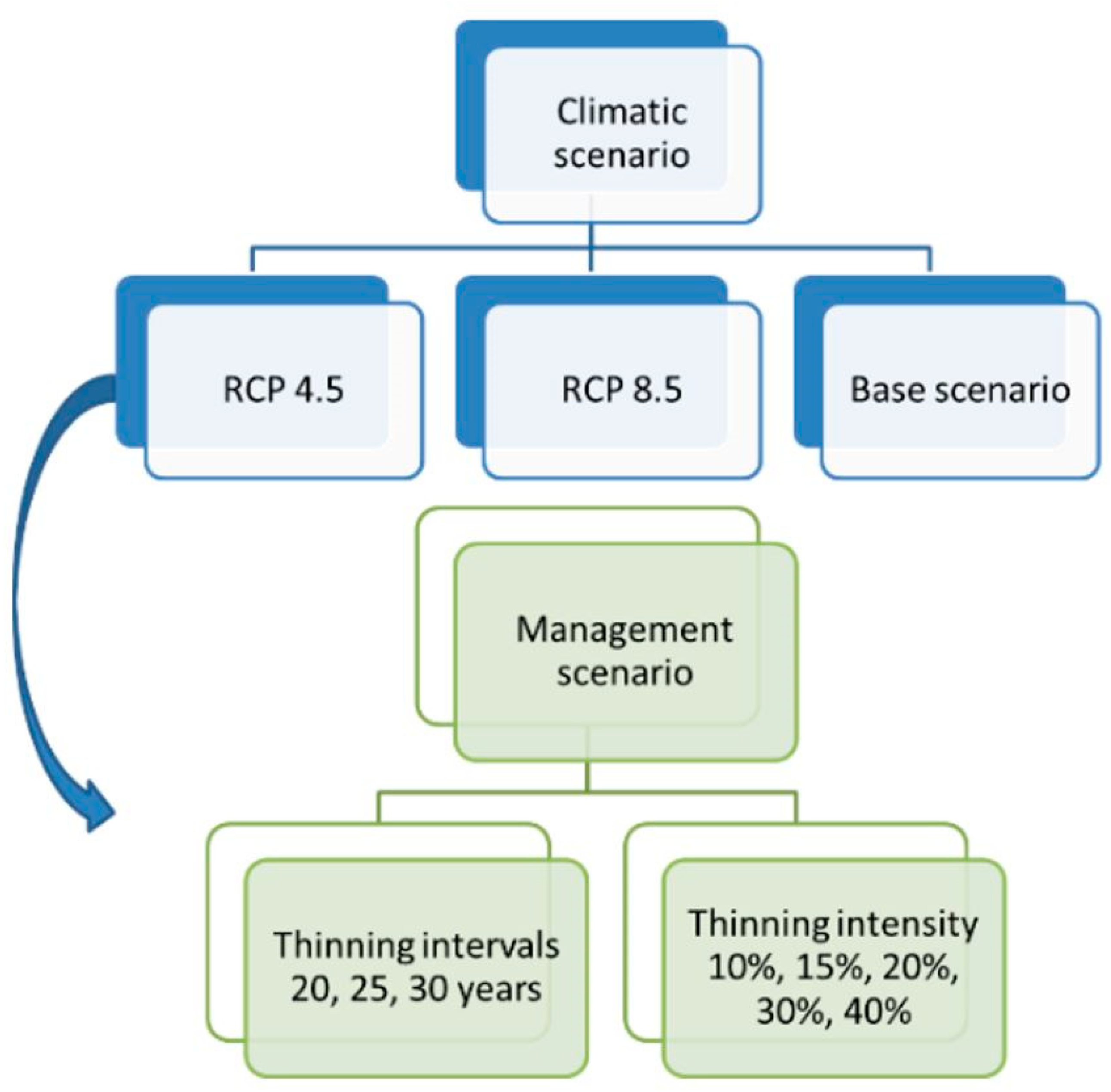 Forests 15 00539 g003