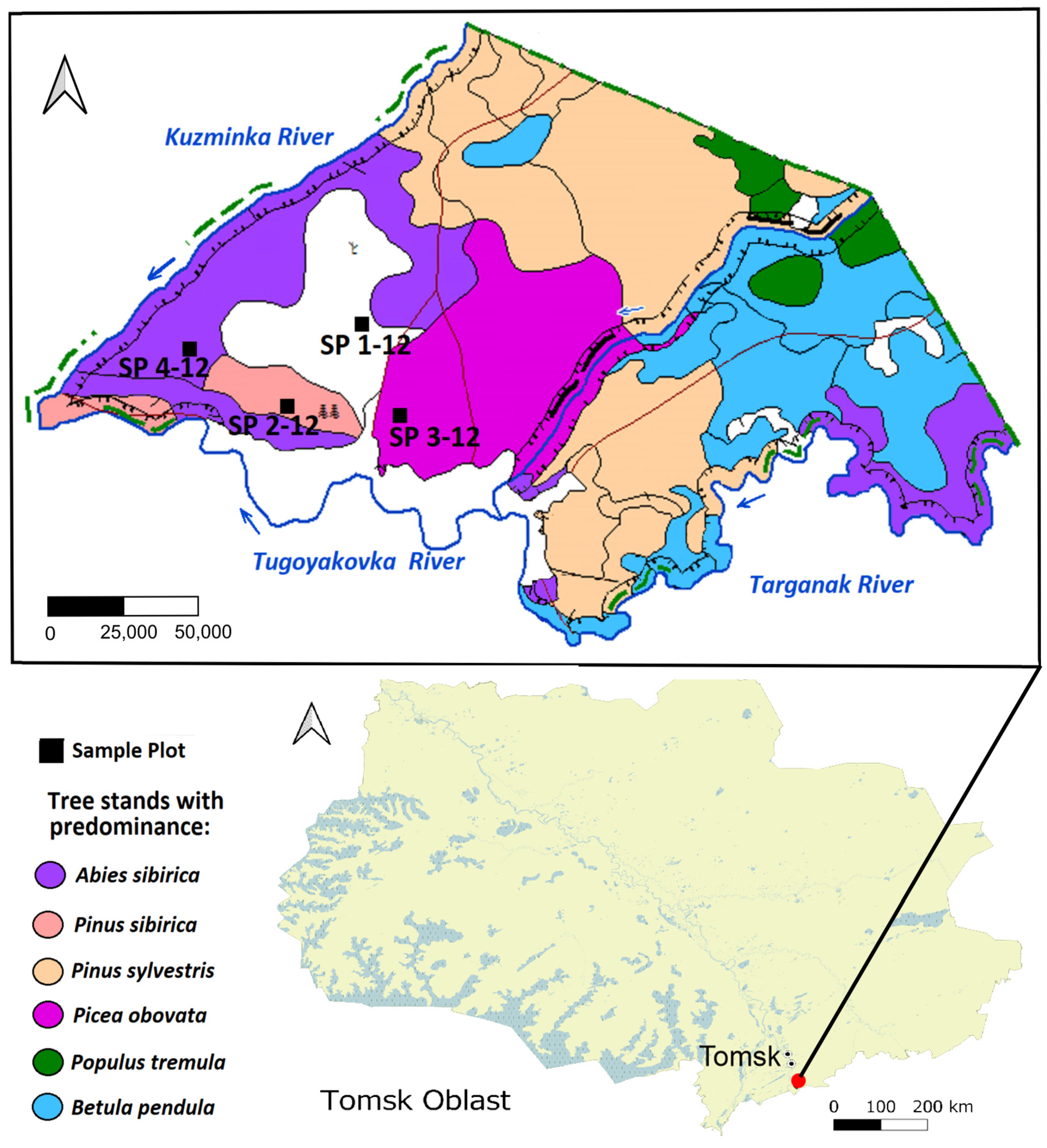 Forests 15 00542 g001