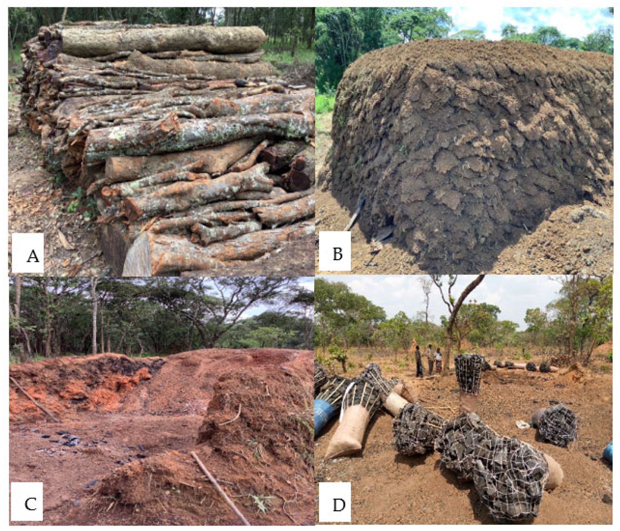 Forests 15 00554 g002